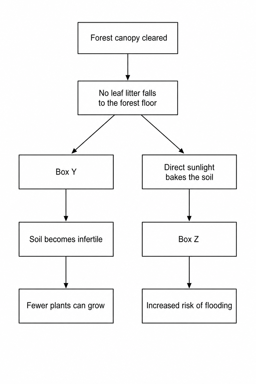 Flowchart illustrating the impacts of clearing the rainforest canopy.