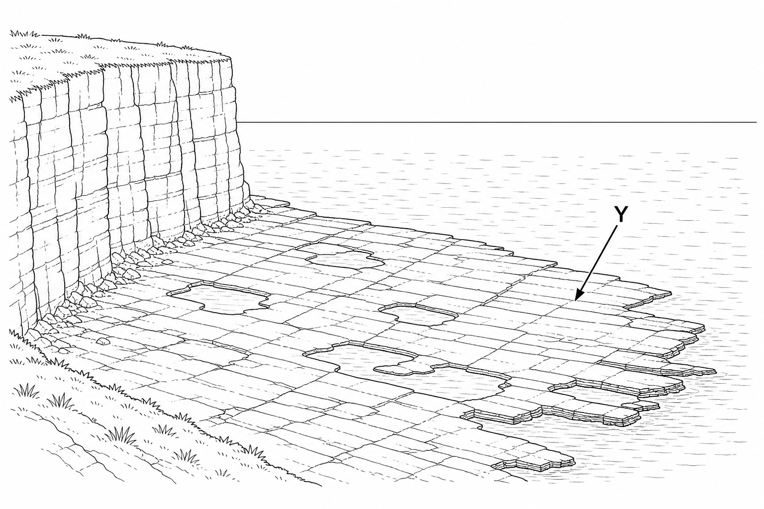Figure 2: A cliff-top photograph of a rocky coastline in South Wales at low tide. A steep, vertical limestone cliff-face descends to a wide, flat, gently sloping rocky platform. This rocky platform is composed of exposed horizontal layers of rock with visible joints and shallow rock pools, extending out into the sea. Point Y is positioned directly on this flat, rocky platform at the base of the cliff.