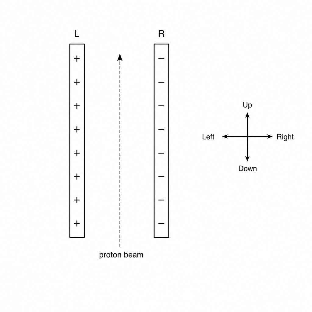 Proton Beam Diagram