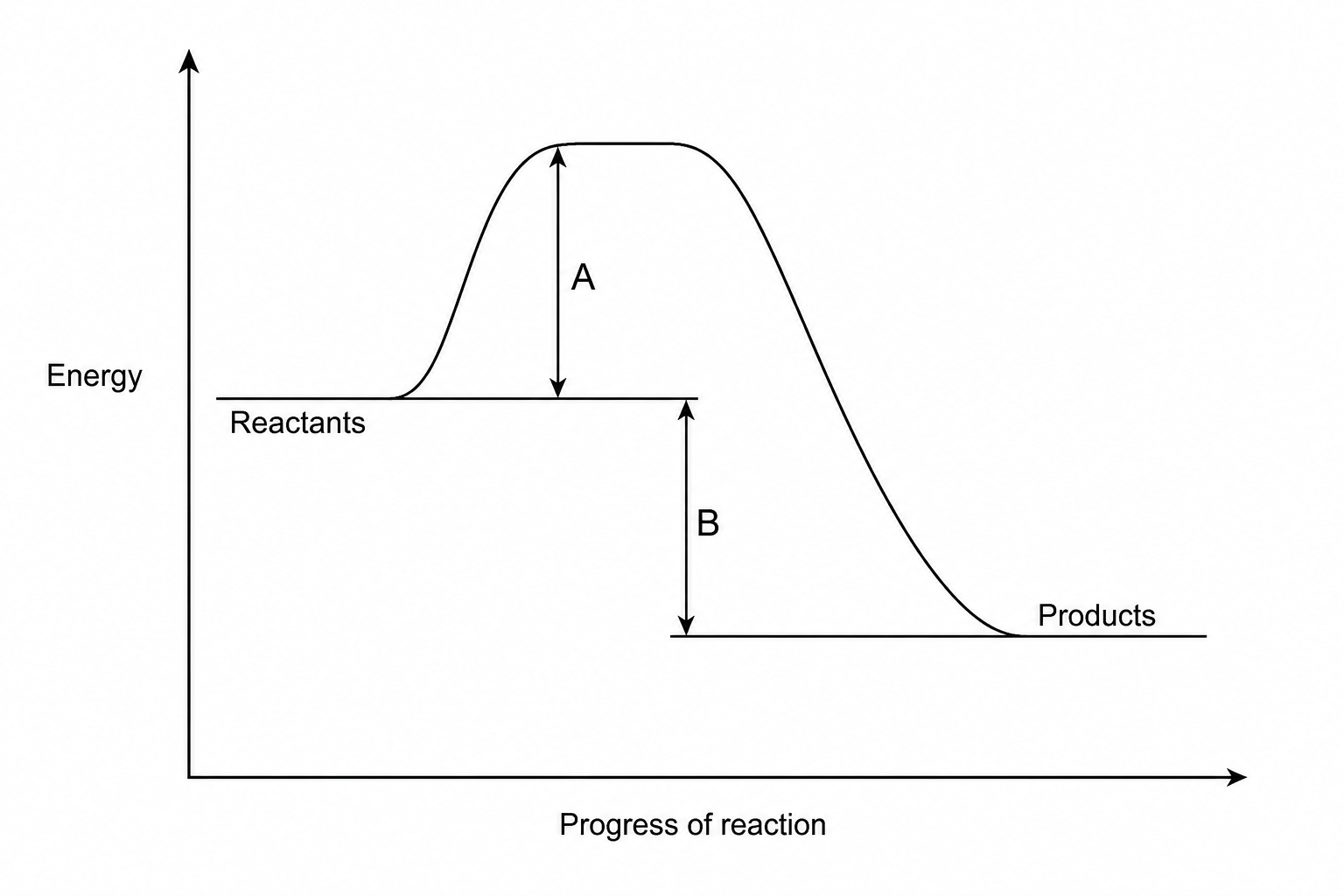 Reaction profile for an exothermic reaction. The y-axis is labelled 'Energy' and the x-axis is labelled 'Progress of reaction'. A horizontal line on the left represents the reactants. The curve rises from this line to a peak and then descends to a lower horizontal line on the right representing the products. Arrow A is a vertical double-headed arrow extending from the reactant energy level up to the peak of the curve. Arrow B is a vertical double-headed arrow extending from the reactant energy level down to the product energy level. Labels A and B point to these two arrows respectively.
