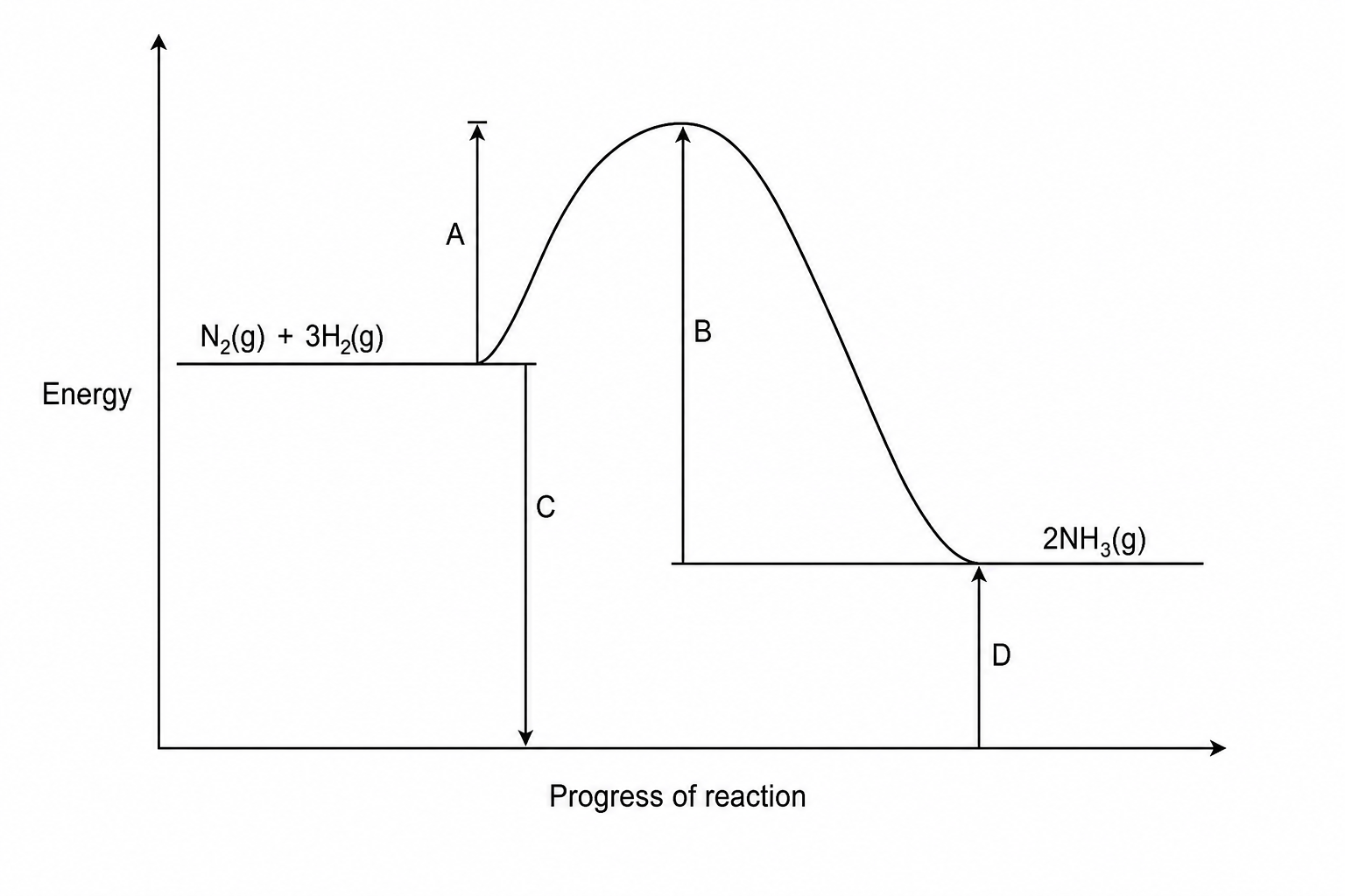 Reaction Profile