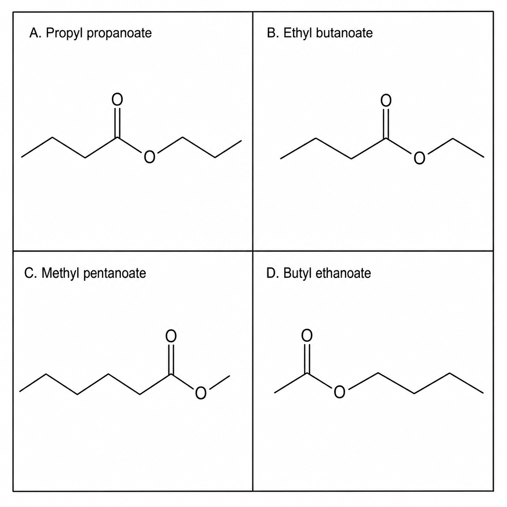 Ester structures A, B, C, and D