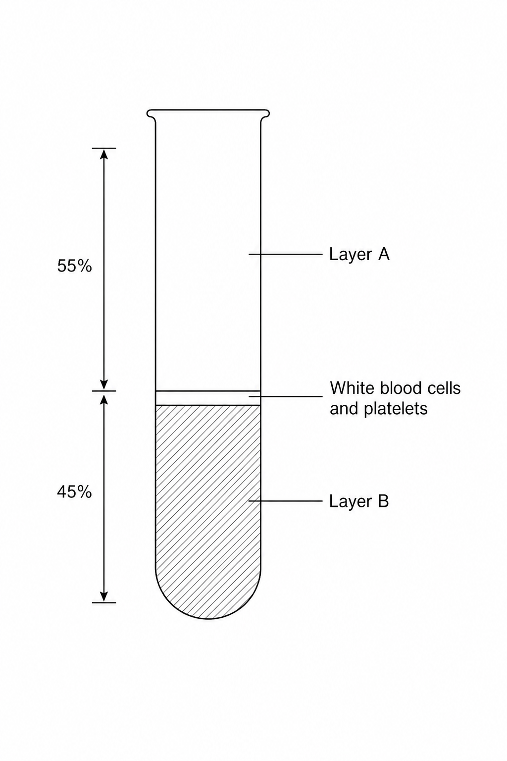 Centrifuged blood sample