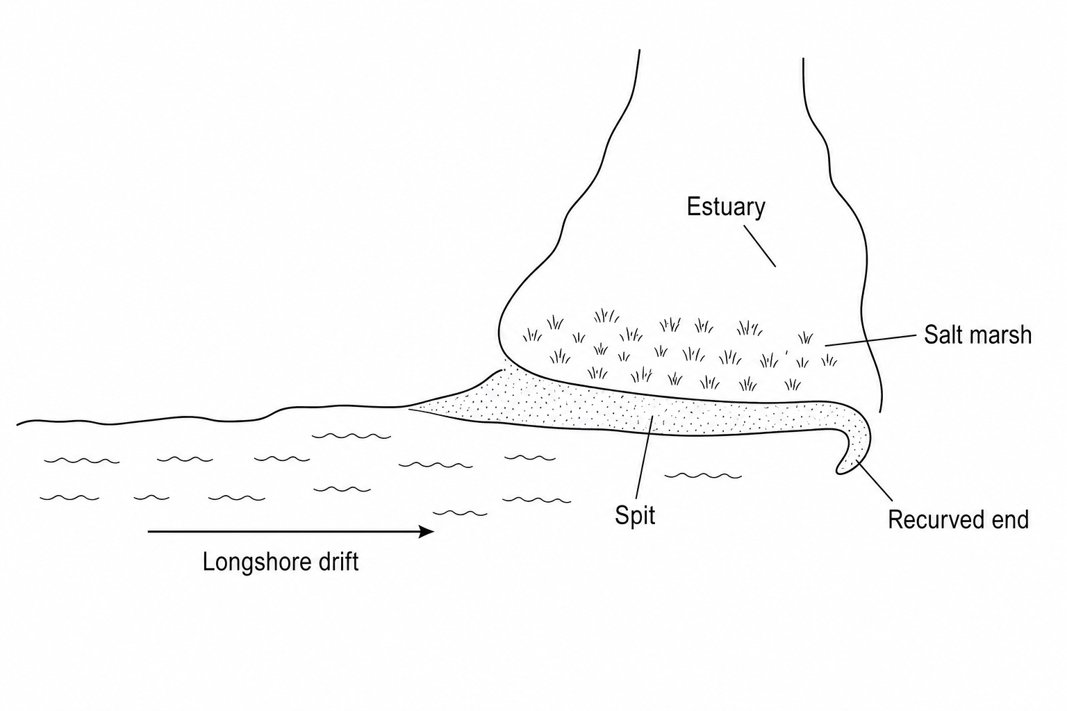 Figure 2a: A sketch map of a coastal spit. It shows longshore drift carrying sediment from west to east. Where the coastline bends northwards into an estuary, a spit extends across the estuary mouth. The recurved spit end points landward. Behind the spit, in the calm, sheltered estuary waters, a salt marsh is labelled as forming on deposited mud and silt layers.