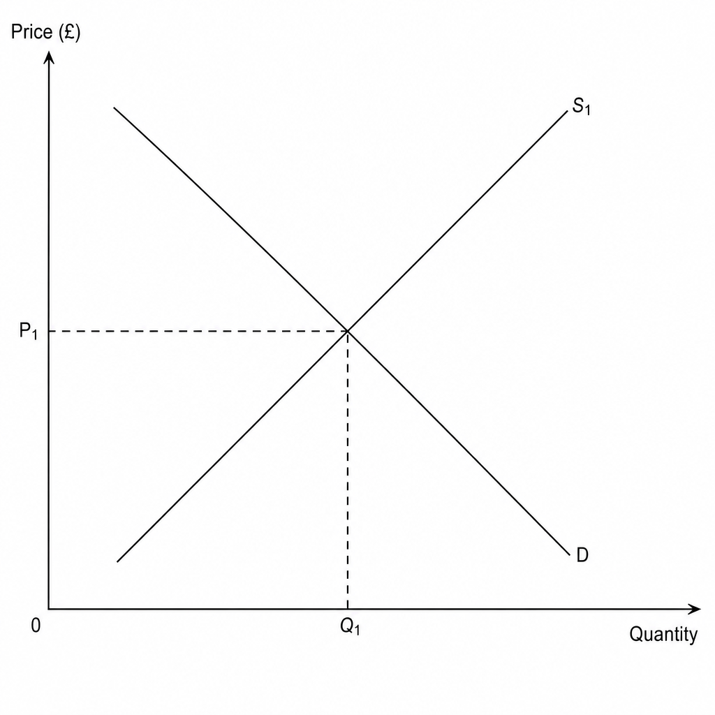 Demand and supply diagram representing the market for non-recyclable plastic packaging