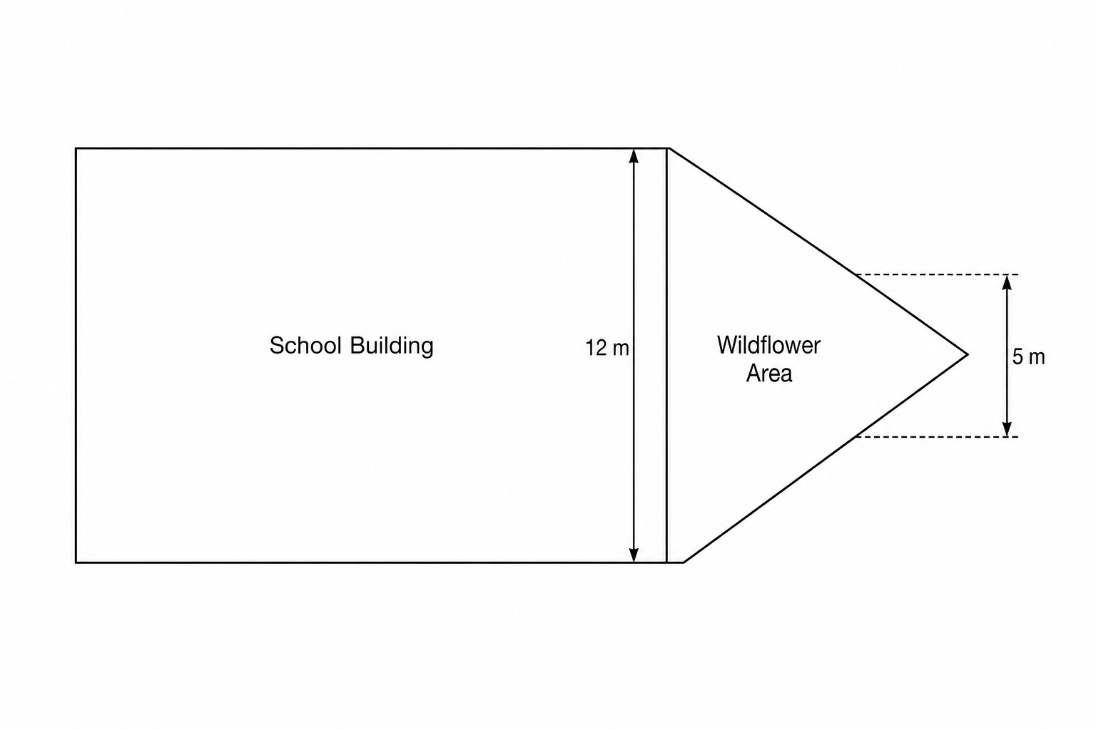 A plan of the school grounds showing a rectangular school building with a width of 12 m. Adjacent to this 12 m side of the school building is a triangular wildflower area with a perpendicular height of 5 m marked with arrows.