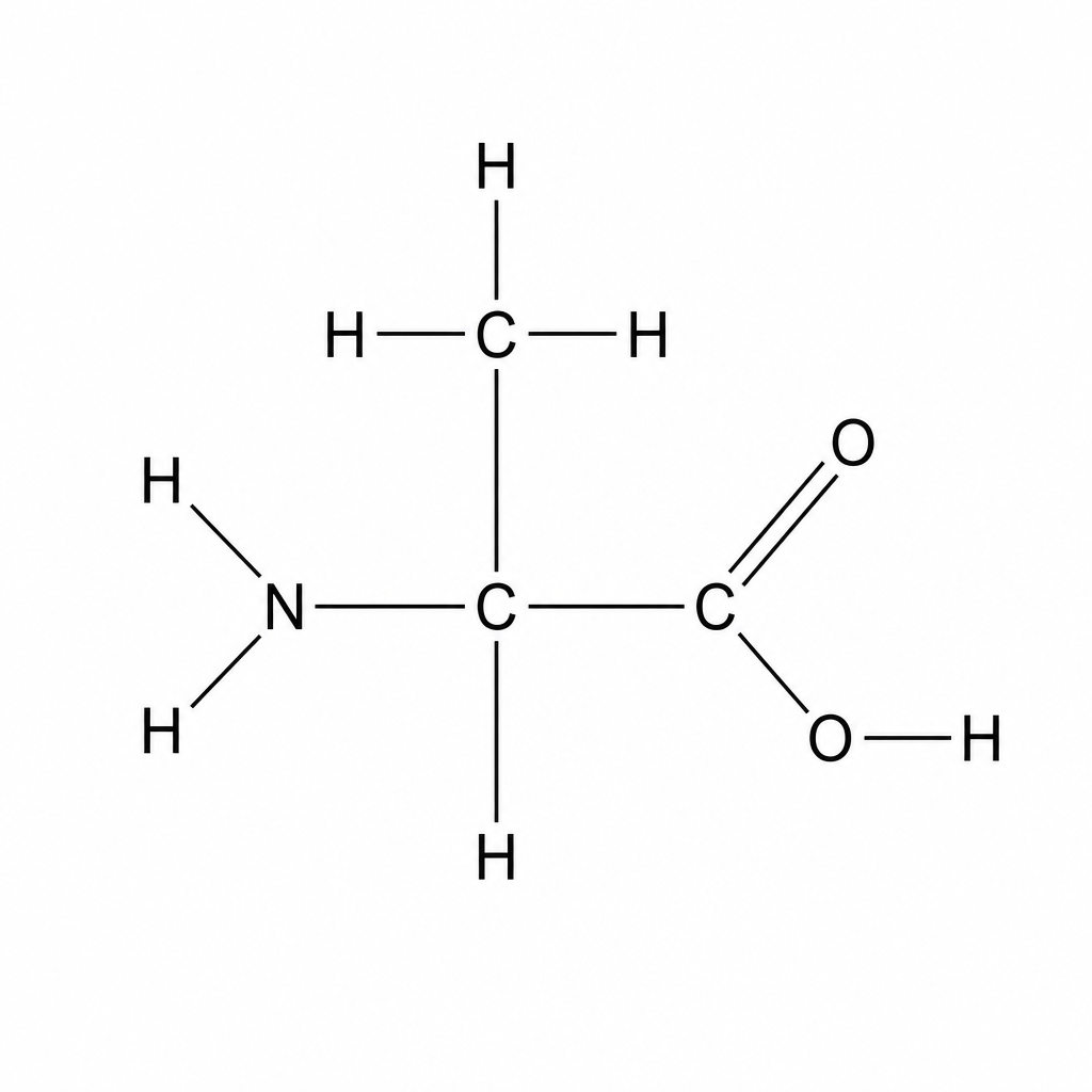 Displayed structural formula of the amino acid alanine. A central carbon atom (C) is bonded to: a hydrogen atom (H) below, a methyl group (CH3) above, an amine group (NH2) to the left consisting of a nitrogen atom (N) bonded to two hydrogen atoms (H), and a carboxylic acid group (COOH) to the right consisting of a carbon atom (C) double-bonded to an oxygen atom (O) and single-bonded to an oxygen atom (O) which is bonded to a hydrogen atom (H).
