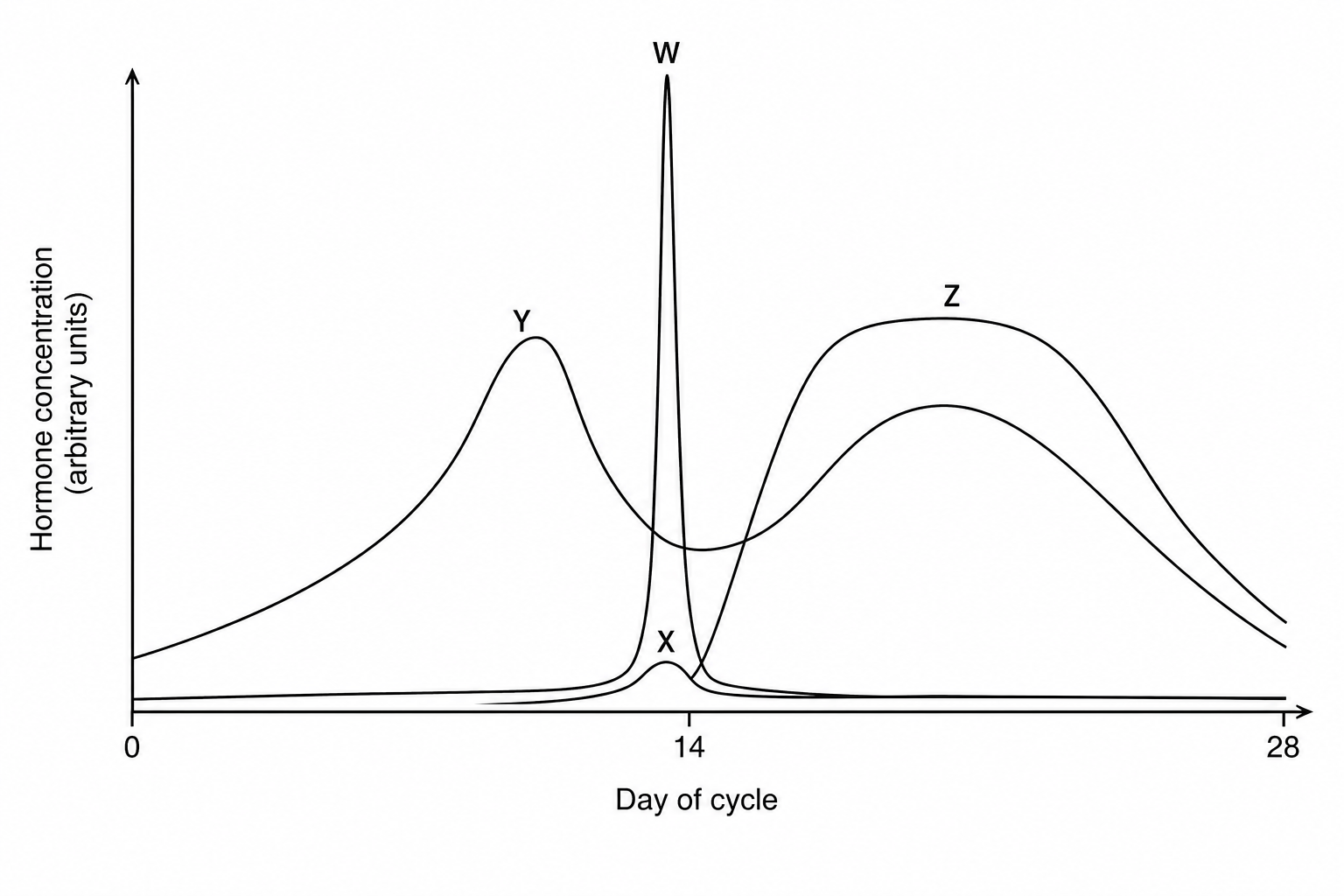 Menstrual cycle hormones