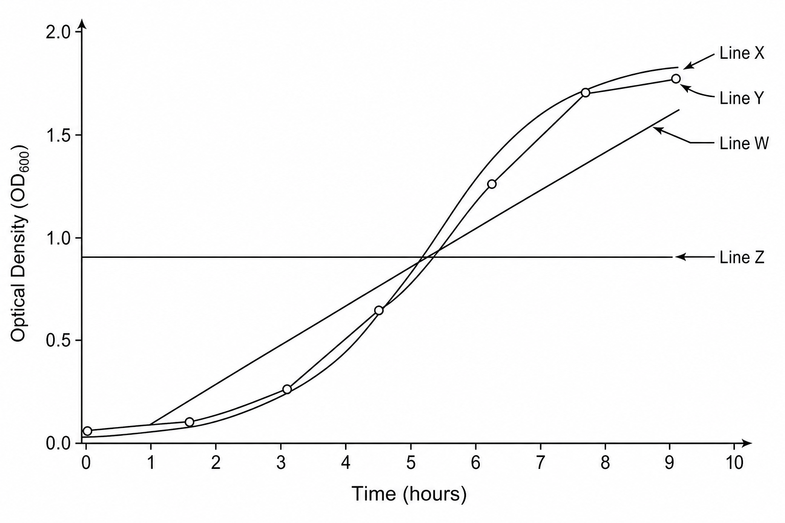 Bacterial growth curve with four lines of best fit