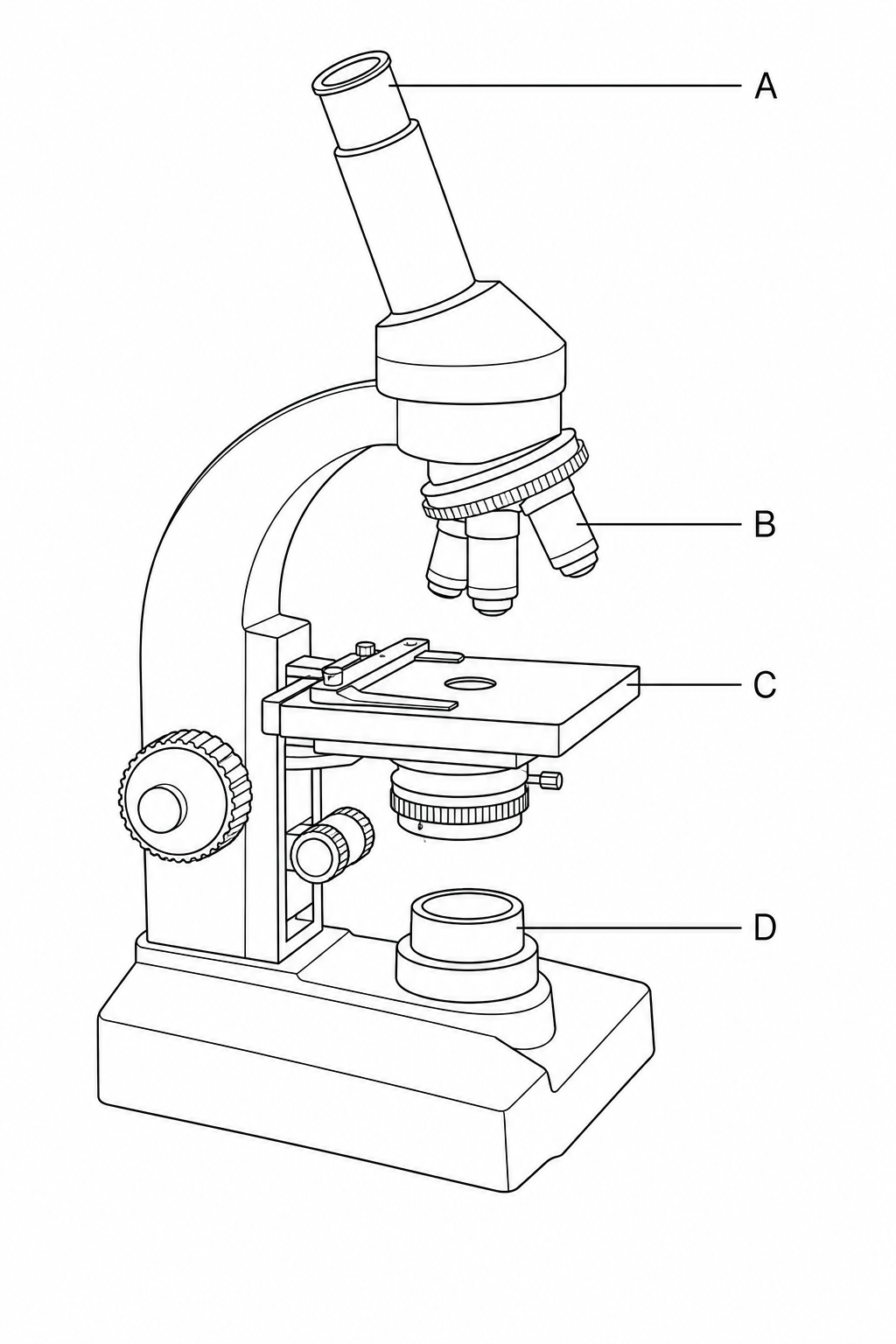 A diagram of a light microscope with four parts labeled A, B, C, and D