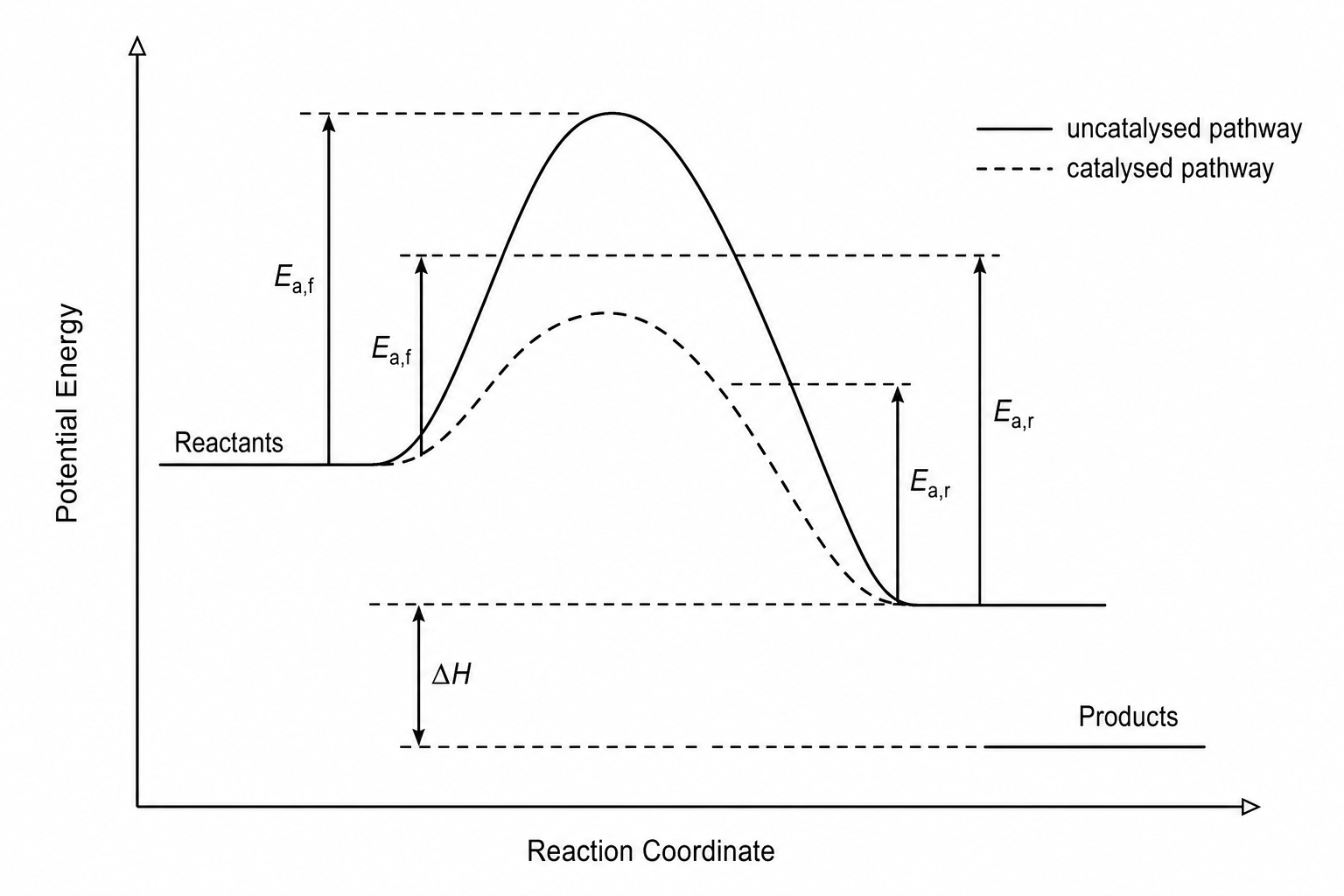 Reaction profile diagram