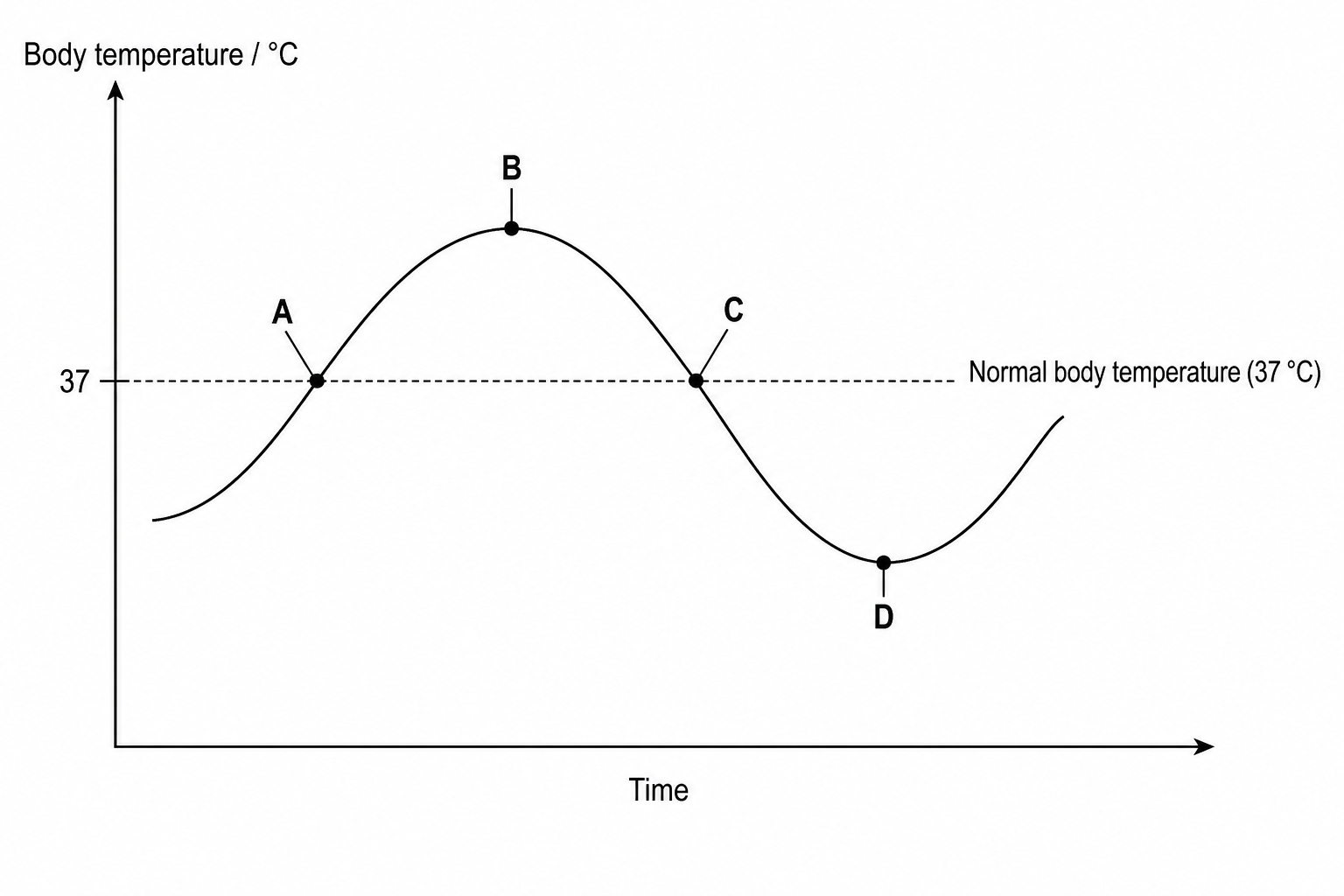 Graph showing body temperature fluctuation around 37 °C