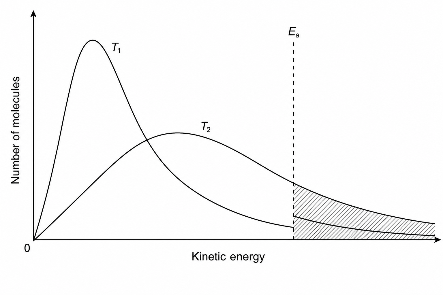 Maxwell-Boltzmann energy distribution curves
