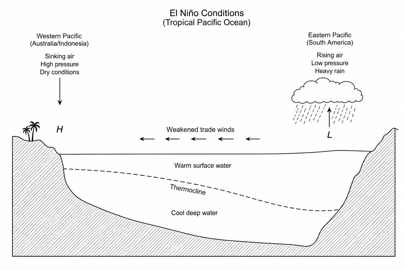 Figure 1: El Niño Conditions