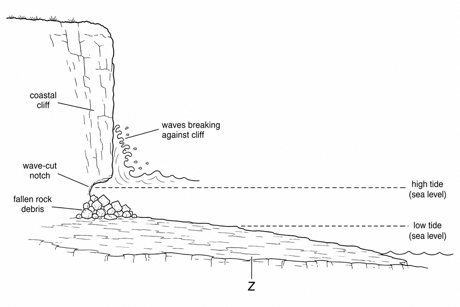 Figure 3: A block diagram of a retreating cliff coastline showing a steep cliff face with a wave-cut notch at its base. Extending seaward from the base of the cliff is a wide, flat, gently sloping flat rocky shelf that is exposed at low tide, labelled Landform Z. Waves are shown breaking against the cliff face, with fallen rock debris at the cliff base.