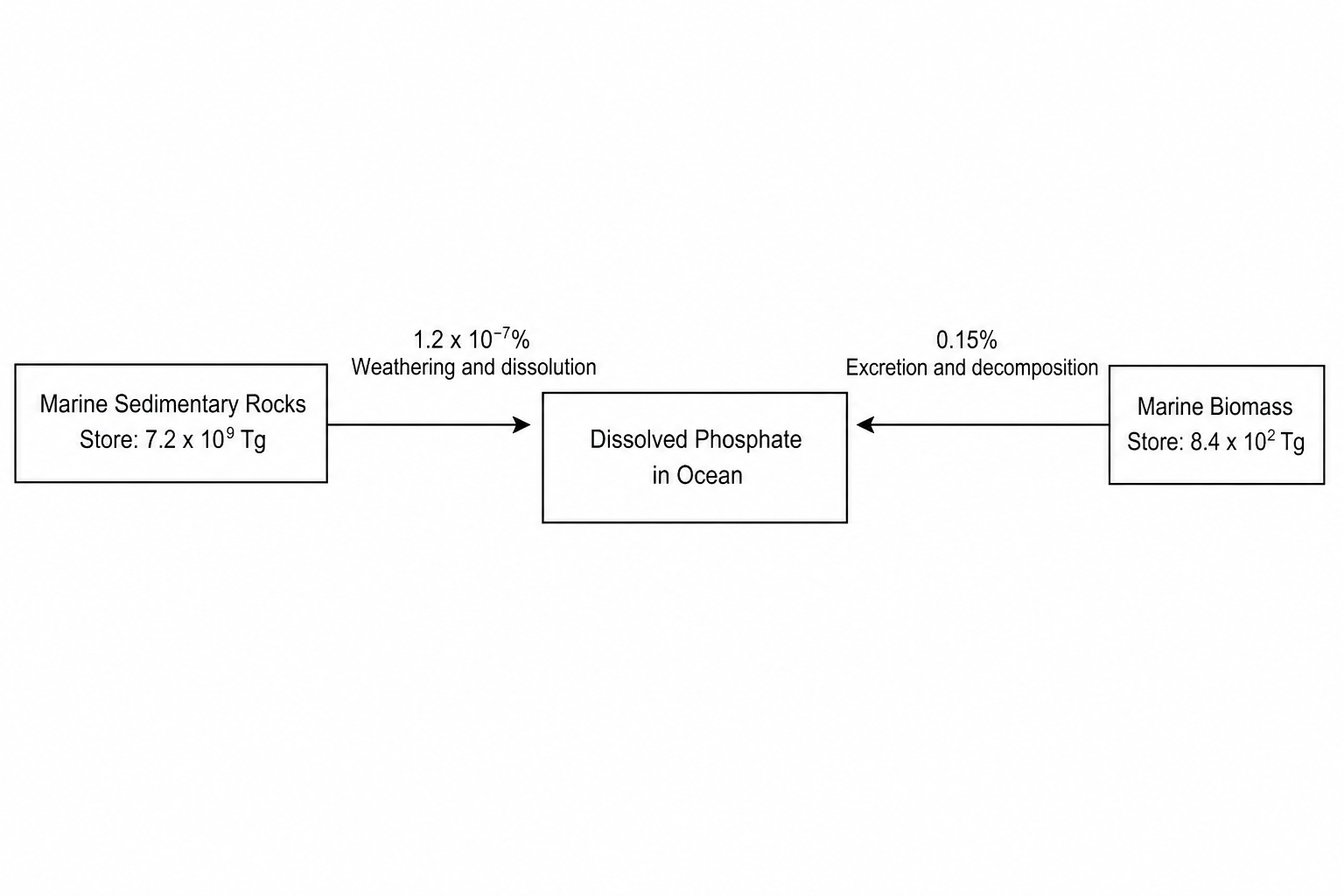 Marine phosphorus cycle diagram