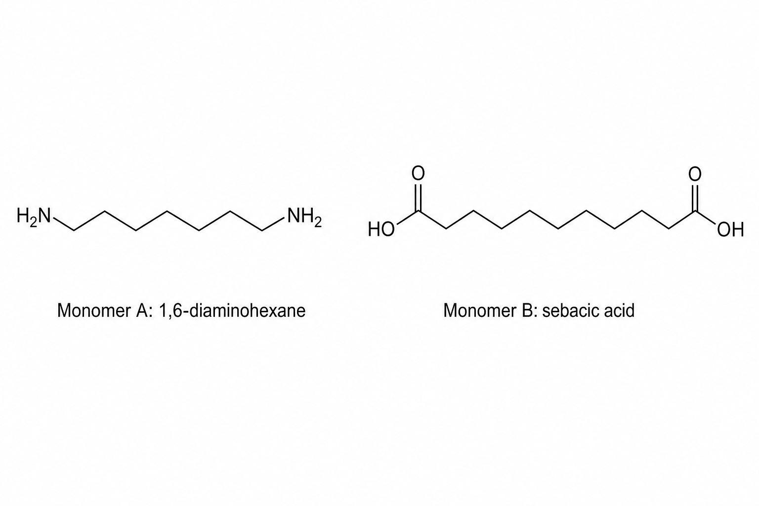 Monomers for a bio-based polyamide
