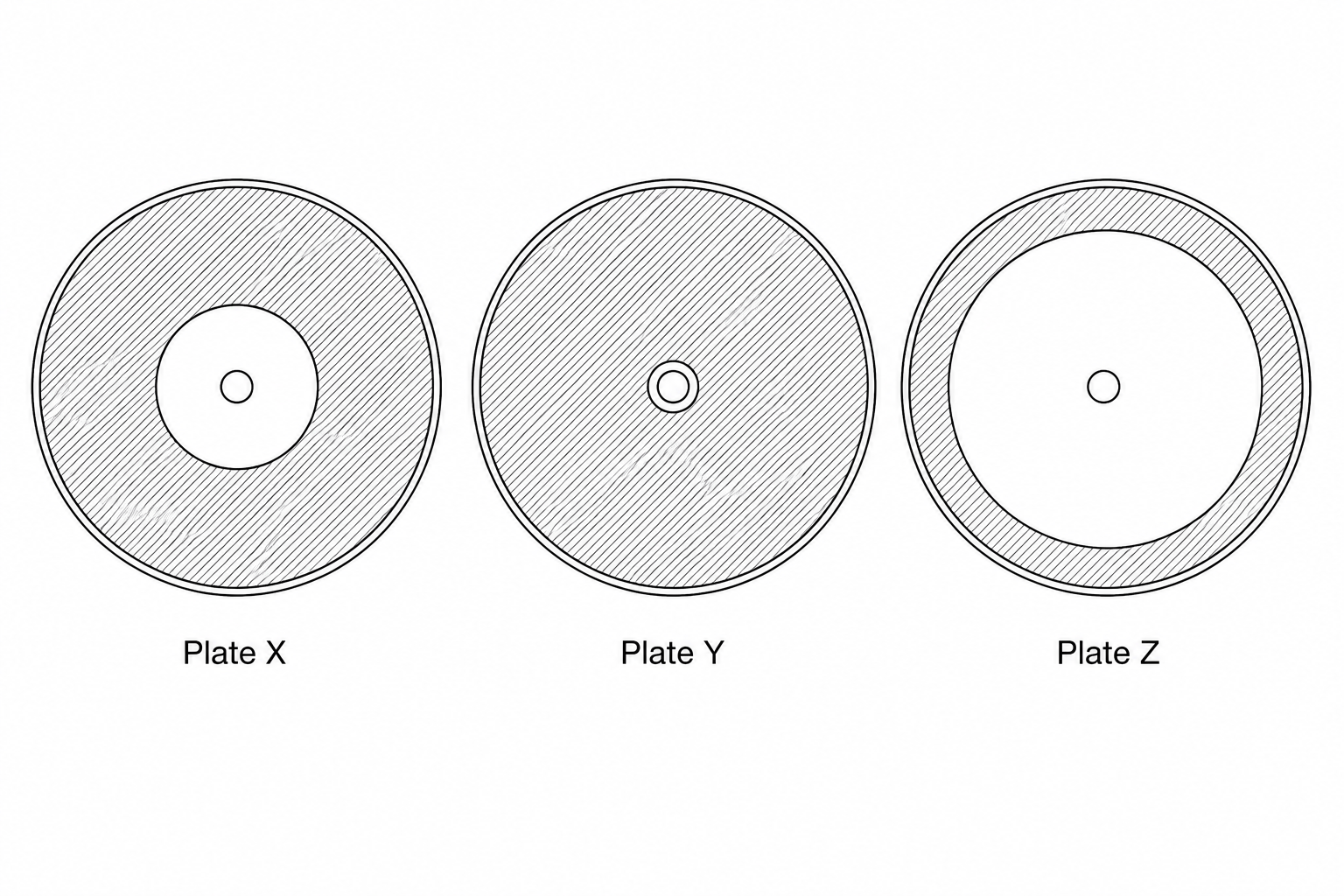 Three petri dishes representing agar plates inoculated with bacteria. Dish X has a medium-sized circular clear zone of inhibition around the central paper disc. Dish Y has a very small clear zone of inhibition around the central paper disc. Dish Z has a very large clear zone of inhibition around the central paper disc. The rest of the agar on each dish is shaded grey to show uniform bacterial growth. 