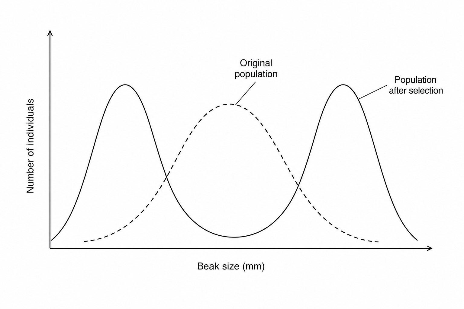 Selection Graph