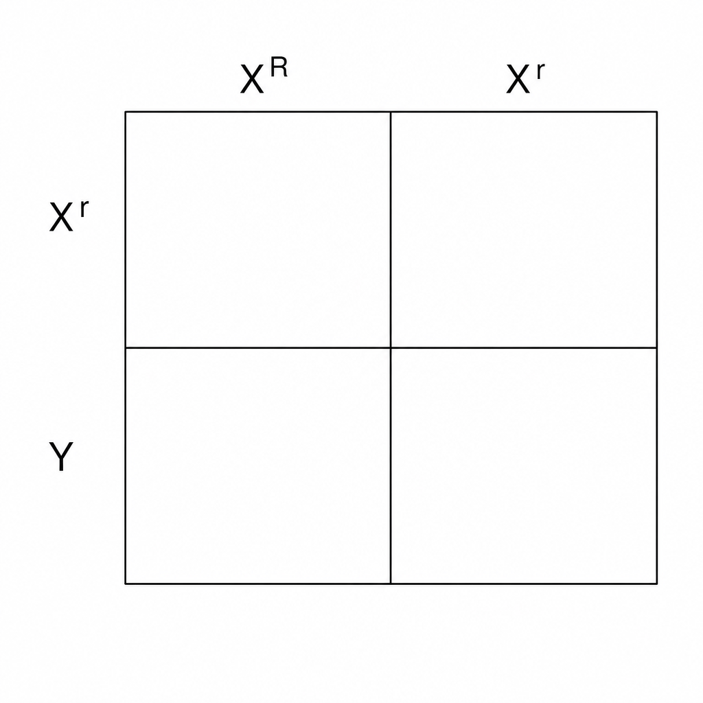 Drosophila genetic cross Punnett square