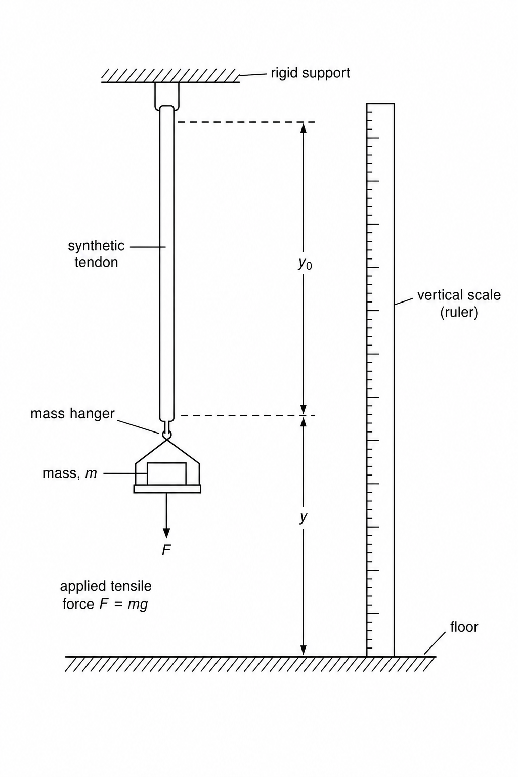Experimental setup