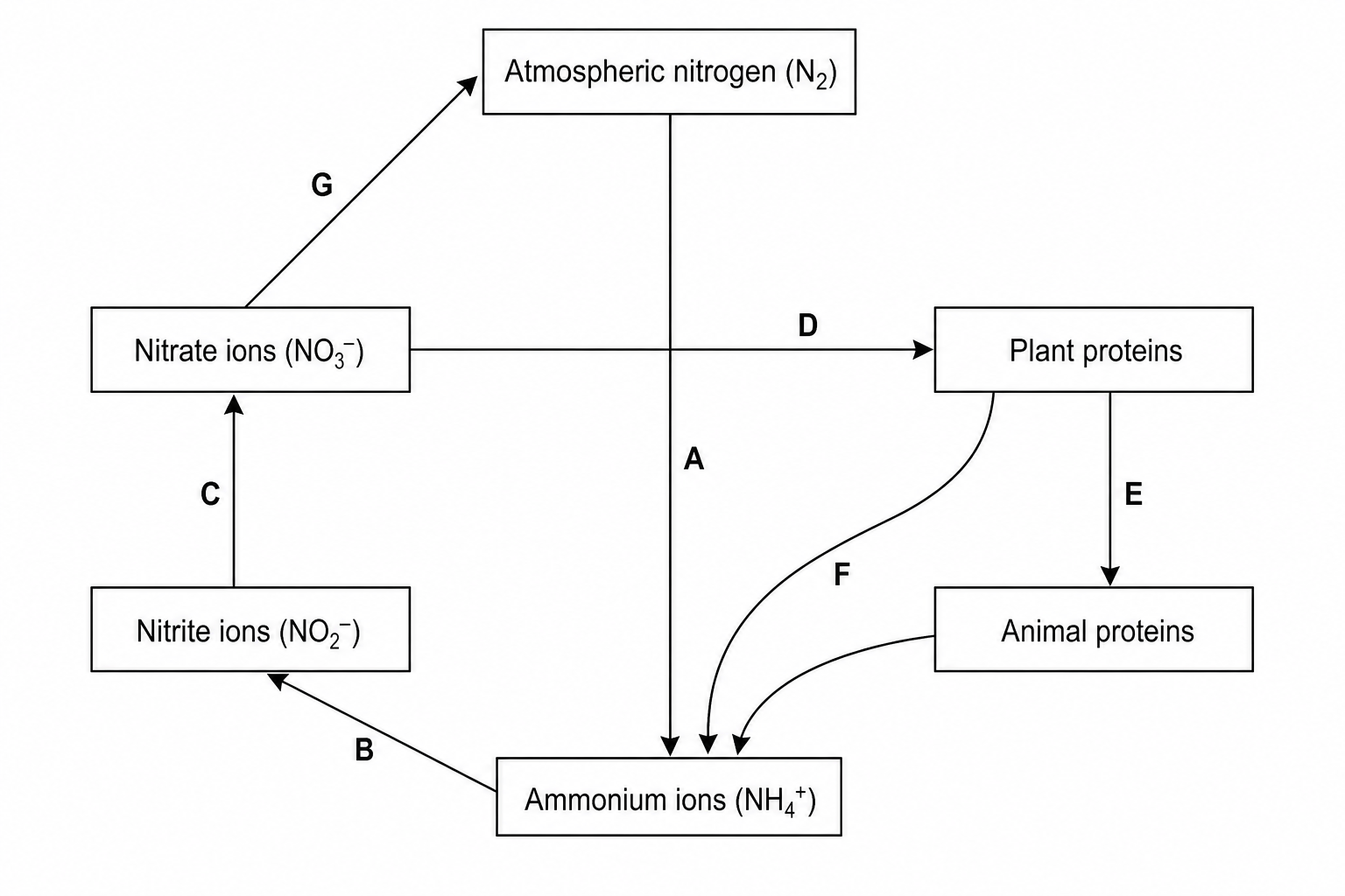 Nitrogen Cycle Diagram
