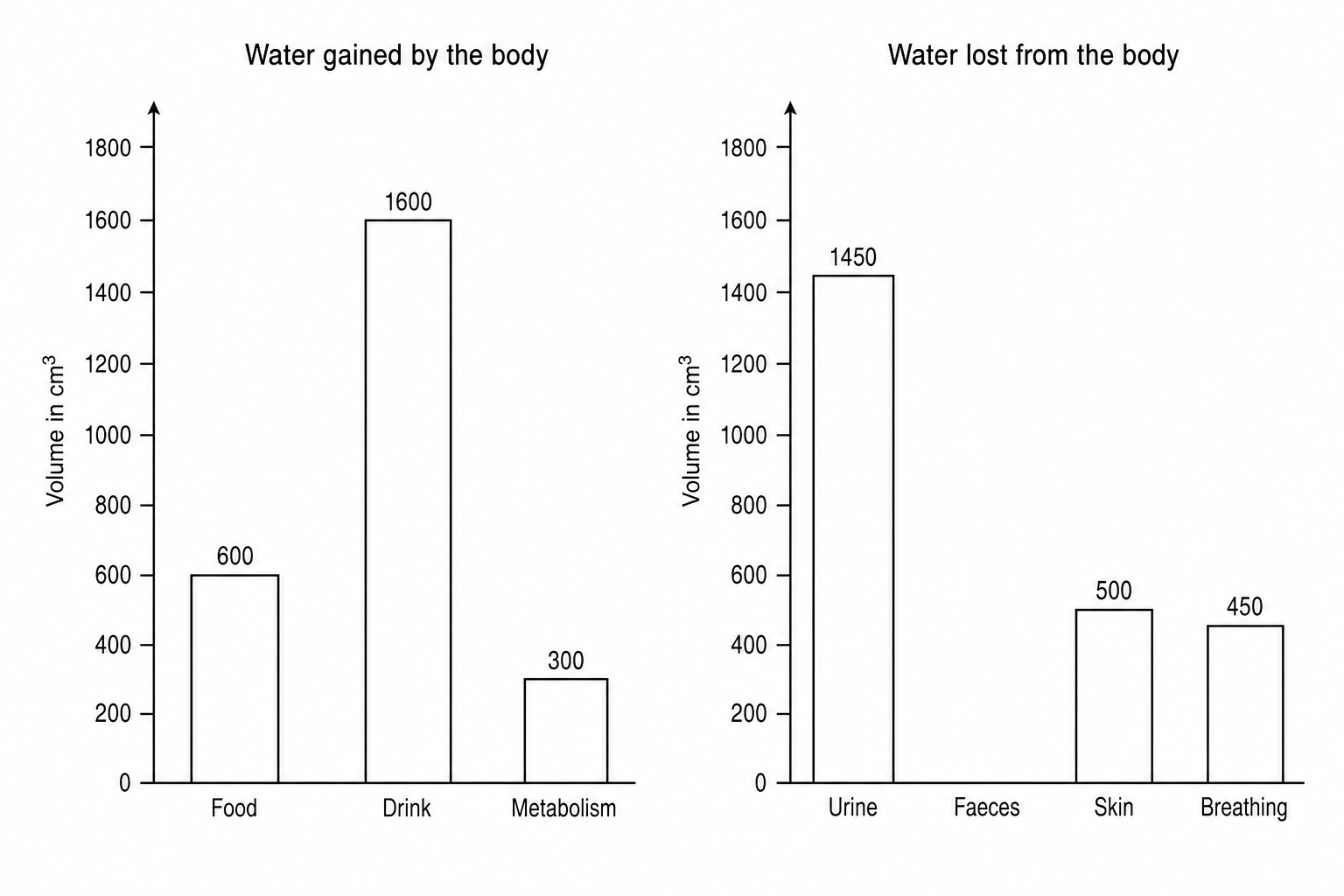 Two bar charts showing the water balance of a person over one day. The first chart, titled 'Water gained by the body', has three bars: Food at 600 cm³, Drink at 1600 cm³, and Metabolism at 300 cm³. The second chart, titled 'Water lost from the body', has four columns: Urine at 1450 cm³, Faeces (not shown), Skin at 500 cm³, and Breathing at 450 cm³. The y-axis of both charts is labeled 'Volume in cm³' and ranges from 0 to 1800 with major increments of 100.