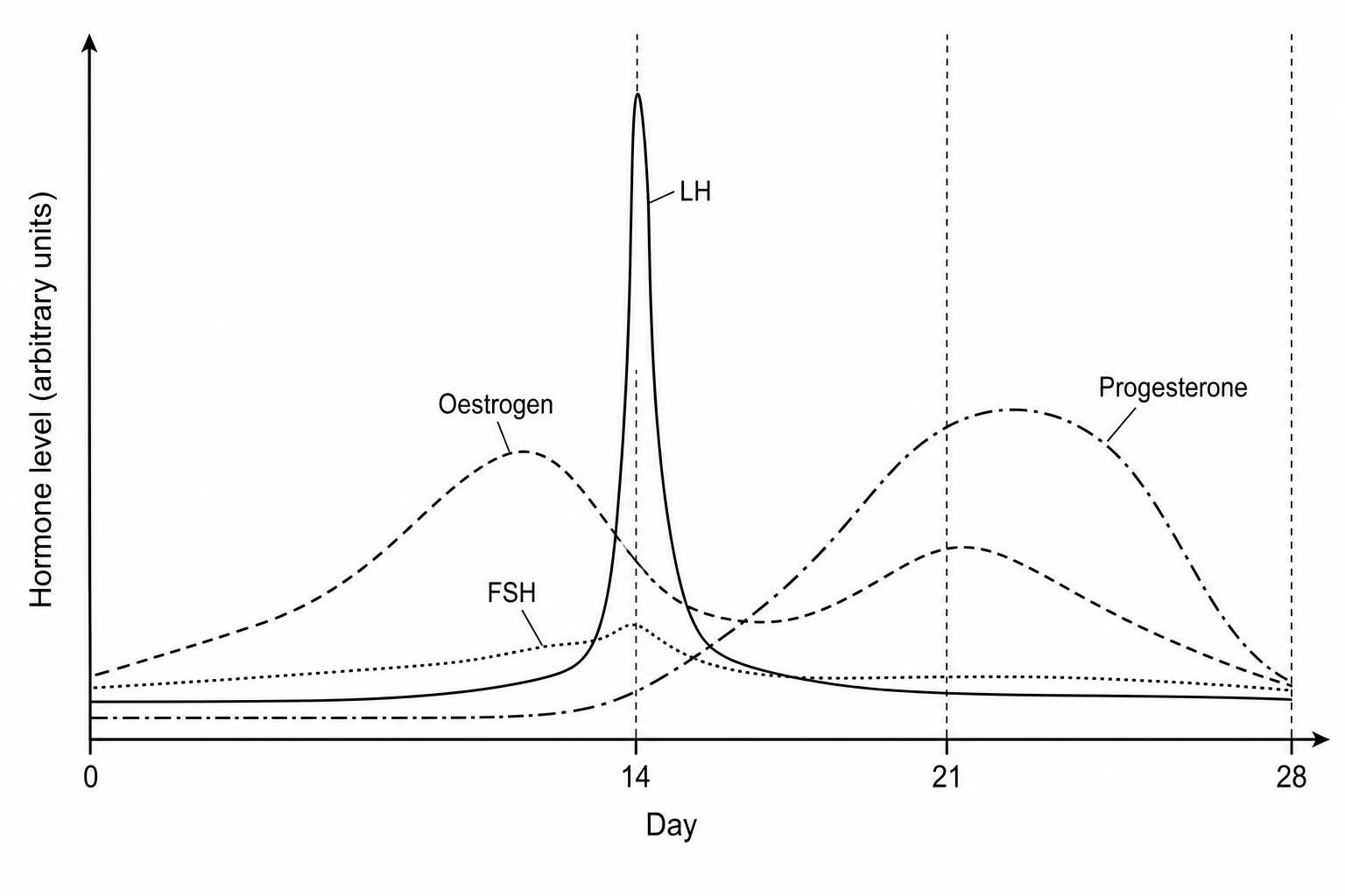 A line graph showing the relative concentration of LH, FSH, oestrogen, and progesterone during a 28-day menstrual cycle. FSH and LH peak sharply at day 14. Oestrogen peaks around day 12 and then remains moderately high. Progesterone rises after day 14, peaks at day 21, and then drops rapidly leading up to day 28.