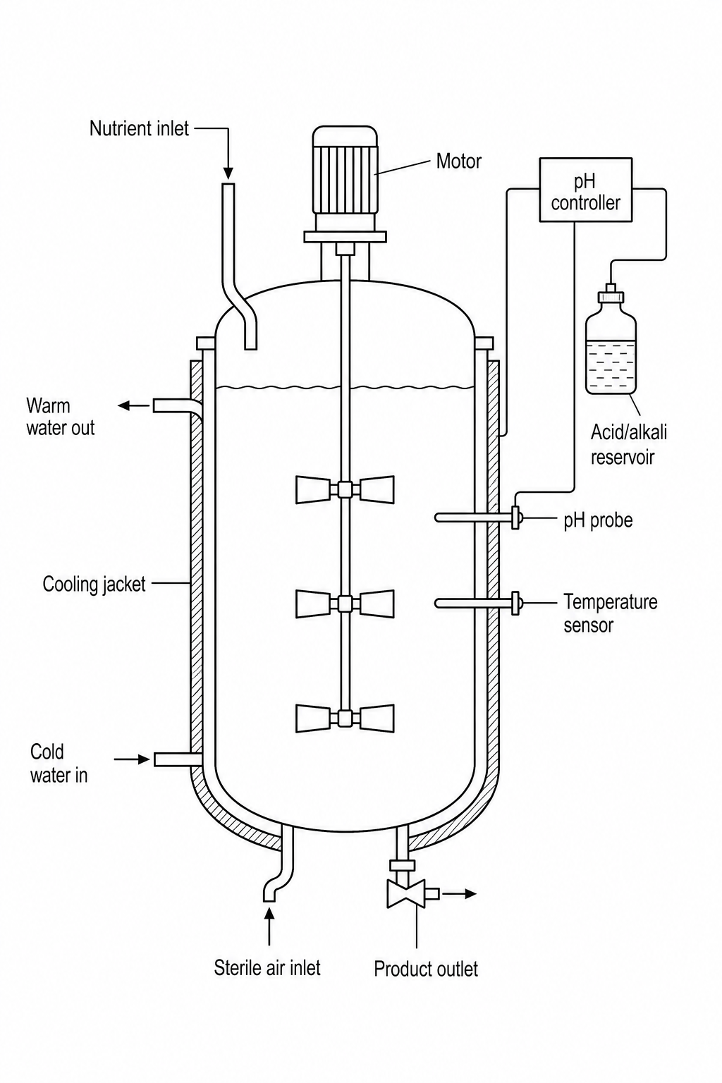 A diagram of an industrial fermenter. The main vessel contains a culture medium with microorganisms. At the top, there is a nutrient inlet, a pH controller connected to an acid/alkali reservoir, and a motor that spins a central shaft equipped with multiple stirring paddles. A cooling jacket surrounds the main body of the vessel, with cold water entering at the bottom and warm water leaving near the top. A pH probe and a temperature sensor project into the vessel contents. At the base of the fermenter, there is a sterile air inlet and an outlet tap for harvesting the product.