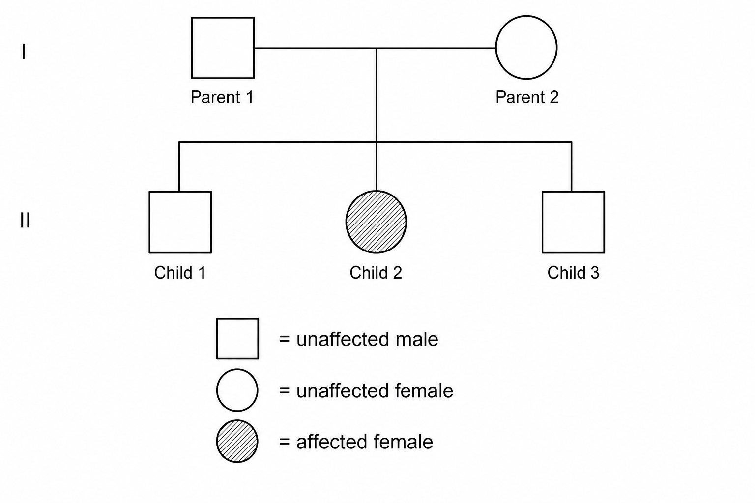 Figure 3: A pedigree chart showing the inheritance of albinism over two generations.