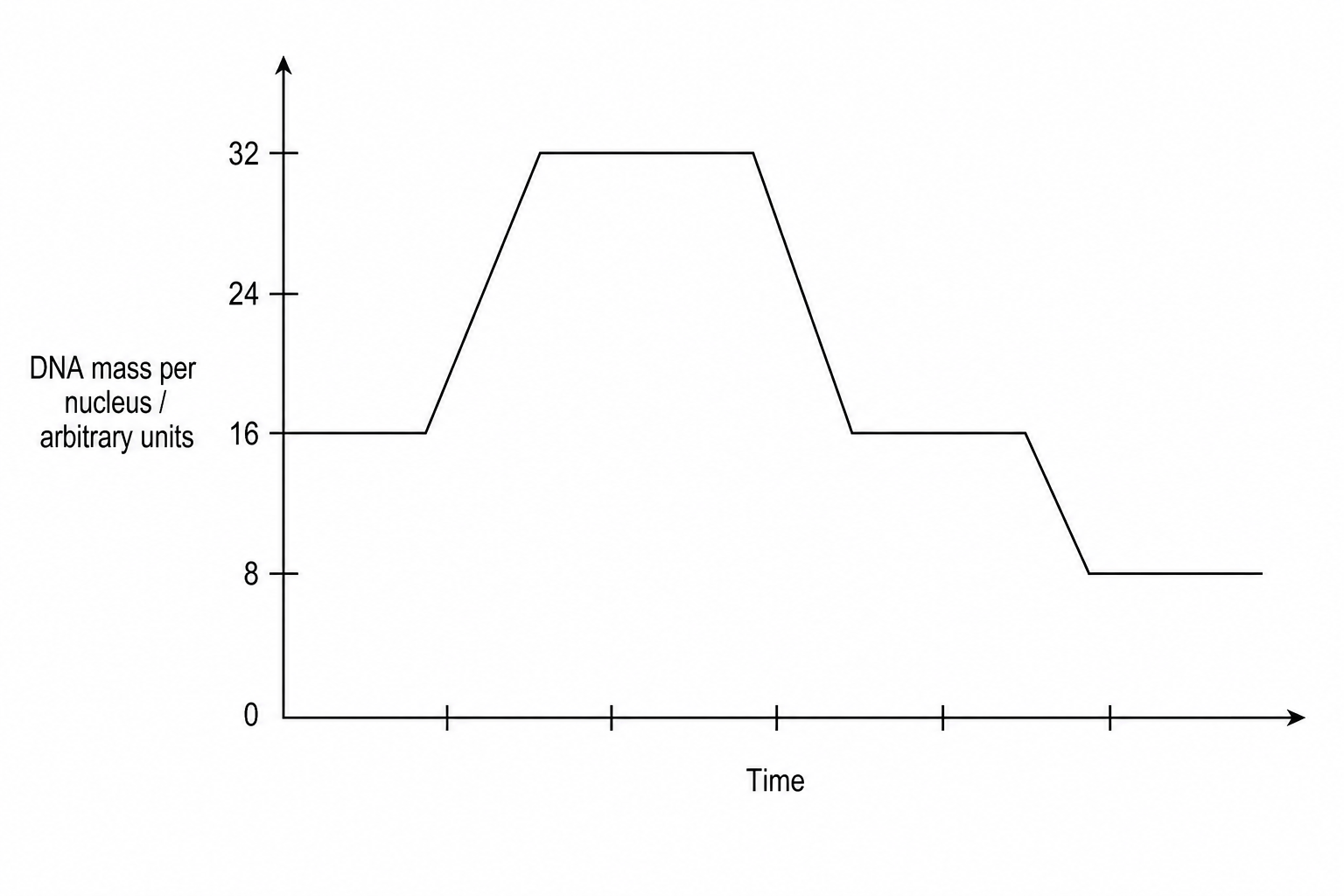 Graph showing DNA mass per nucleus over time during meiosis