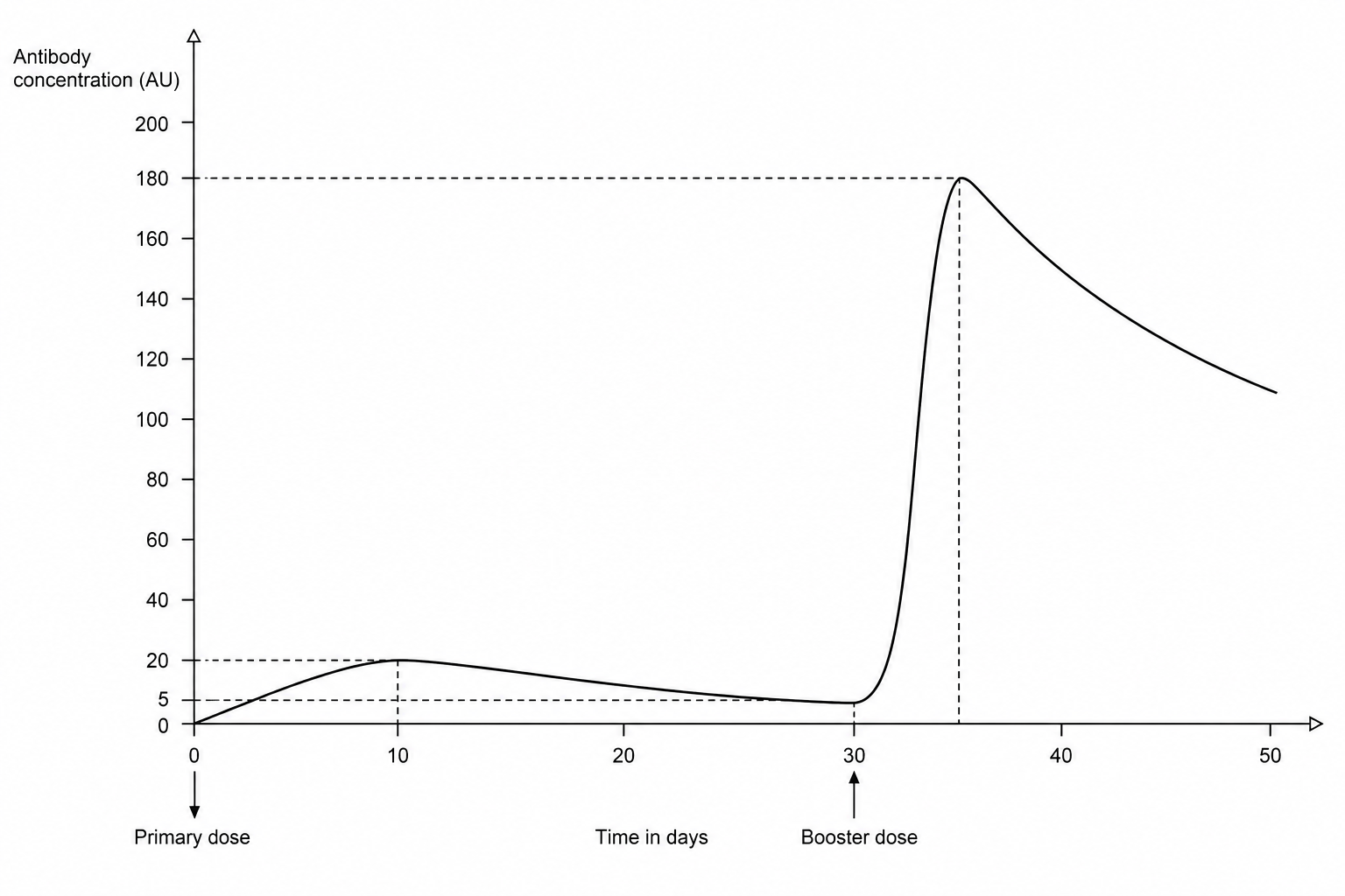 A line graph plotting antibody concentration in arbitrary units (AU) on the y-axis against time in days on the x-axis. The y-axis goes from 0 to 200 AU. The x-axis goes from 0 to 50 days. At day 0 (indicated by an arrow labeled 'Primary dose'), the antibody concentration is 0 AU. The curve rises to a first peak of 20 AU at day 10, then decreases to 5 AU at day 30 (indicated by a second arrow labeled 'Booster dose'). After day 30, the curve rises extremely sharply to a second, much higher peak of 180 AU at day 35, before starting to decline slowly.