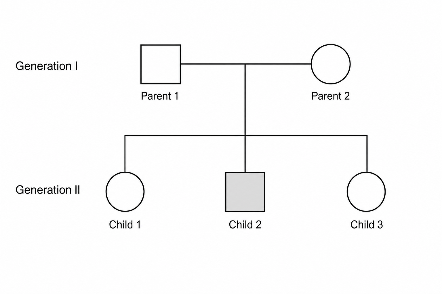 Figure 1: A pedigree chart showing the inheritance of cystinuria over two generations.