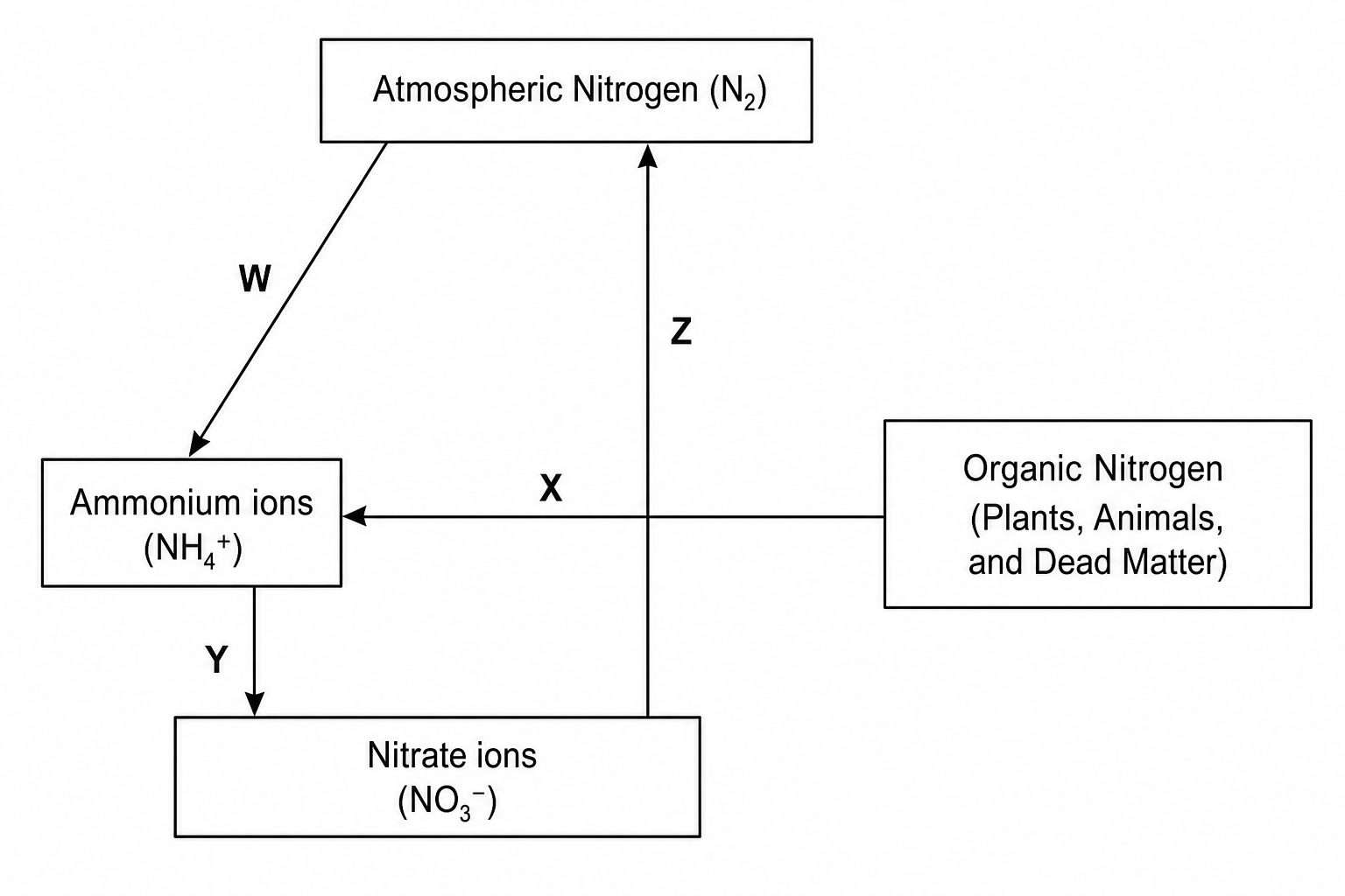 The nitrogen cycle