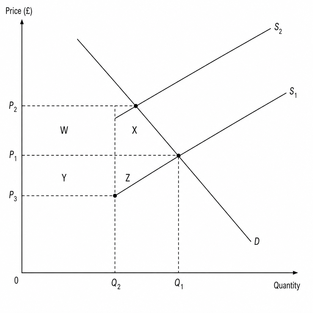 Market diagram with tax
