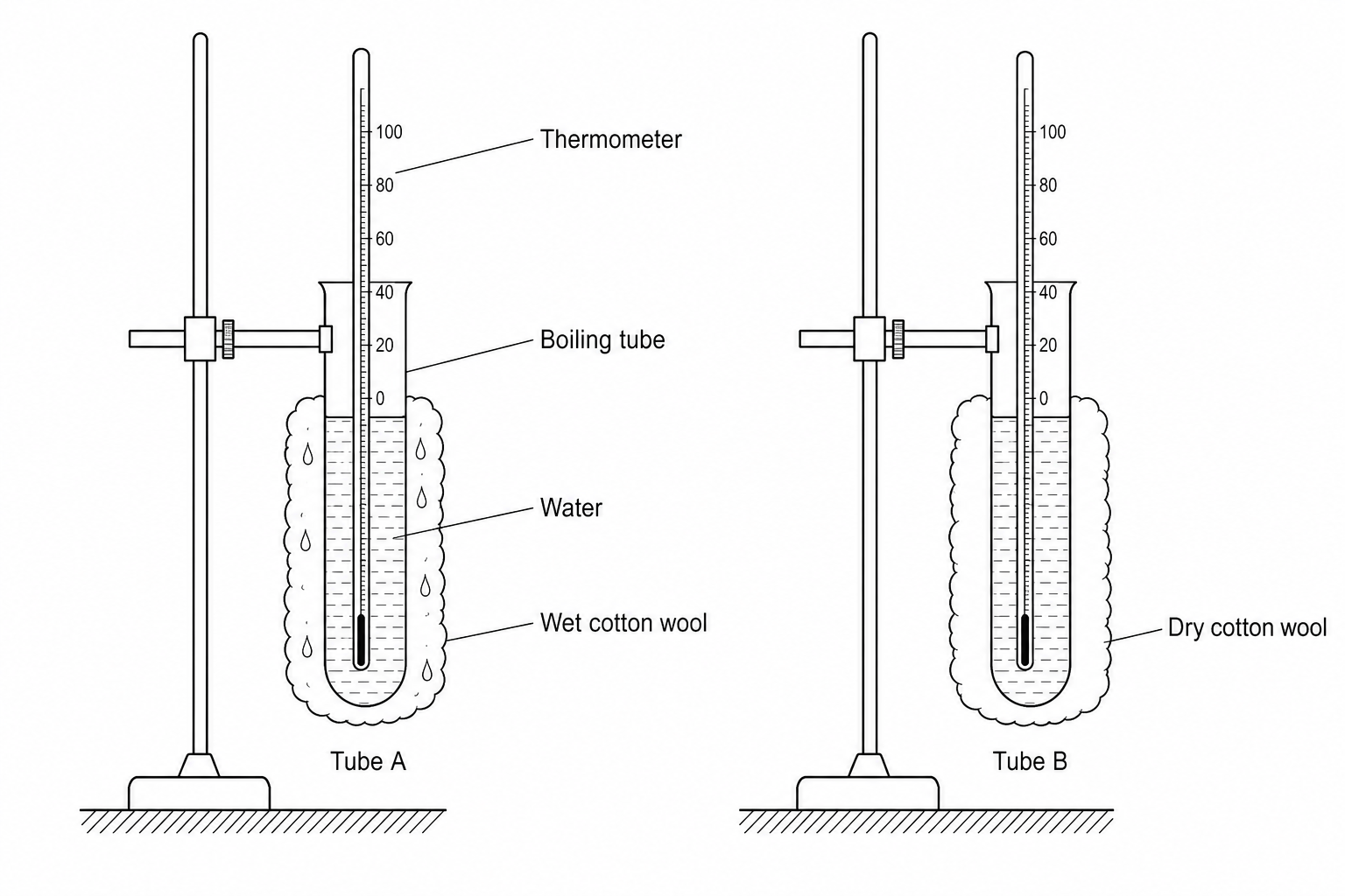 Two boiling tubes, Tube A and Tube B, mounted vertically in stands. Each tube has a thermometer inserted into it. Tube A is wrapped in a layer of wet cotton wool, while Tube B is wrapped in a layer of dry cotton wool of identical thickness.