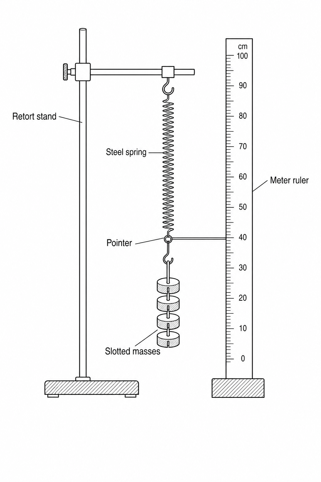 A steel spring is clamped securely to a retort stand. A pointer attached to the bottom of the spring indicates the position against a vertically mounted meter ruler. Slotted masses are suspended from the hook at the bottom of the spring.