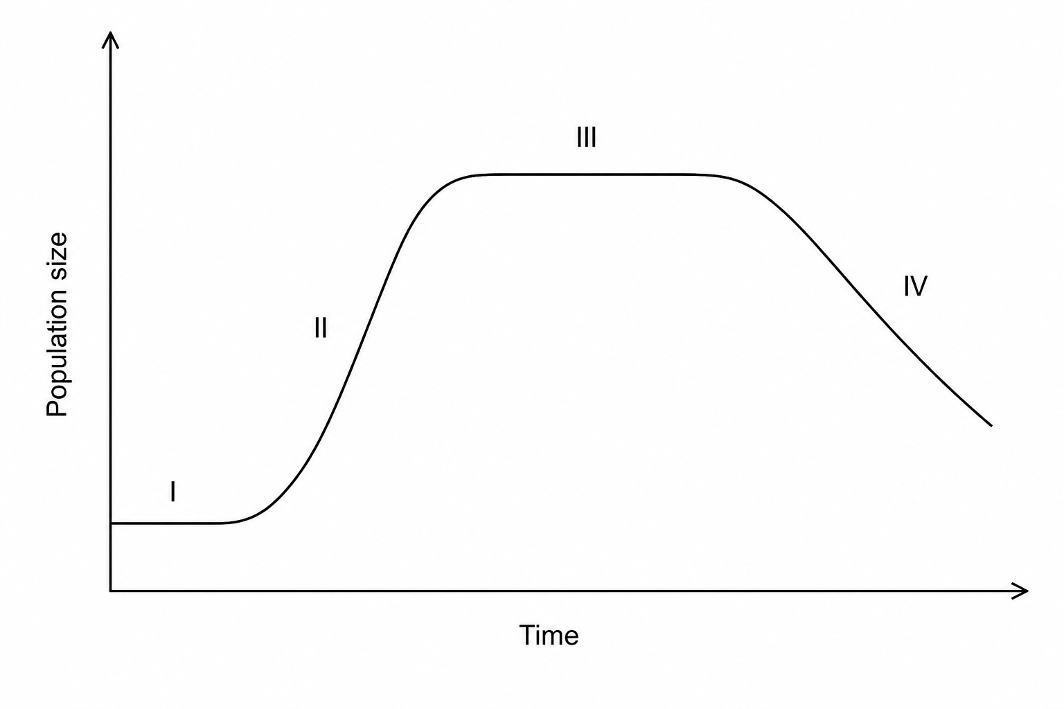 Bacterial Growth Curve