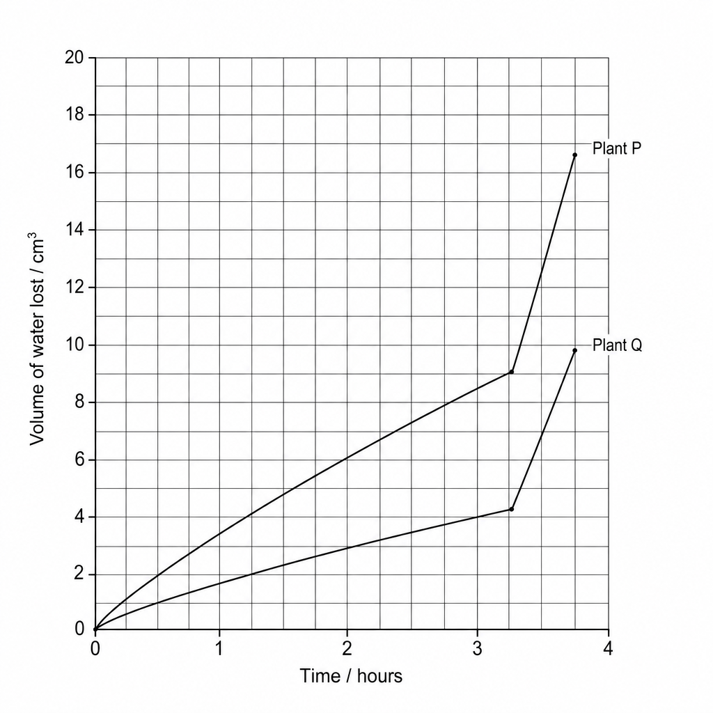 A grid graph showing the volume of water lost in cubic centimeters (cm³) on the vertical axis against time in hours on the horizontal axis for two plants, Plant P and Plant Q, over a period of 3.5 hours.