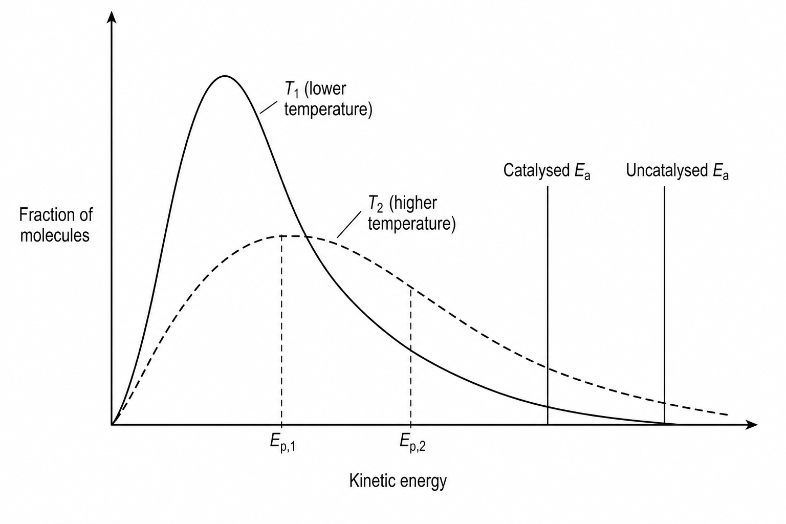 Maxwell-Boltzmann distribution curves