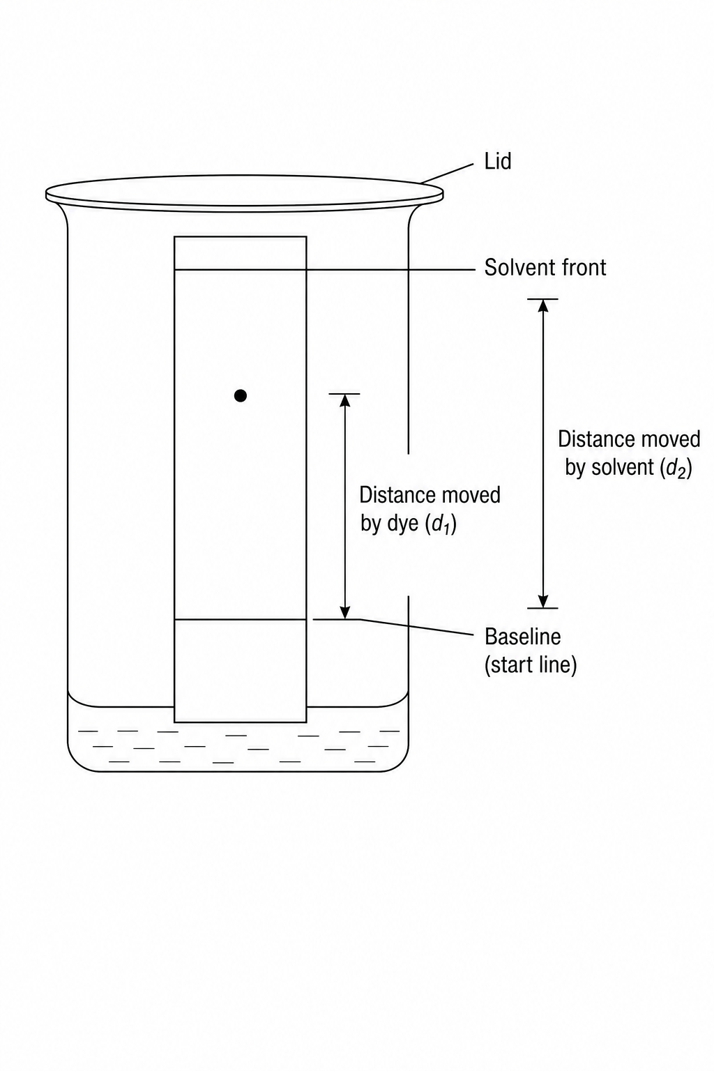 Chromatography Setup