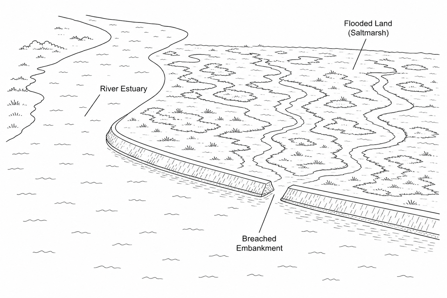 An aerial photograph of the Steart Peninsula managed realignment scheme in Somerset. The image shows a wide river estuary on one side, with a visible breach (gap) in the earth embankment sea wall. At high tide, seawater has flowed through this breach, completely flooding the low-lying agricultural fields behind gravity defenses, turning them into a network of shallow tidal saltmarshes and mudflats.
