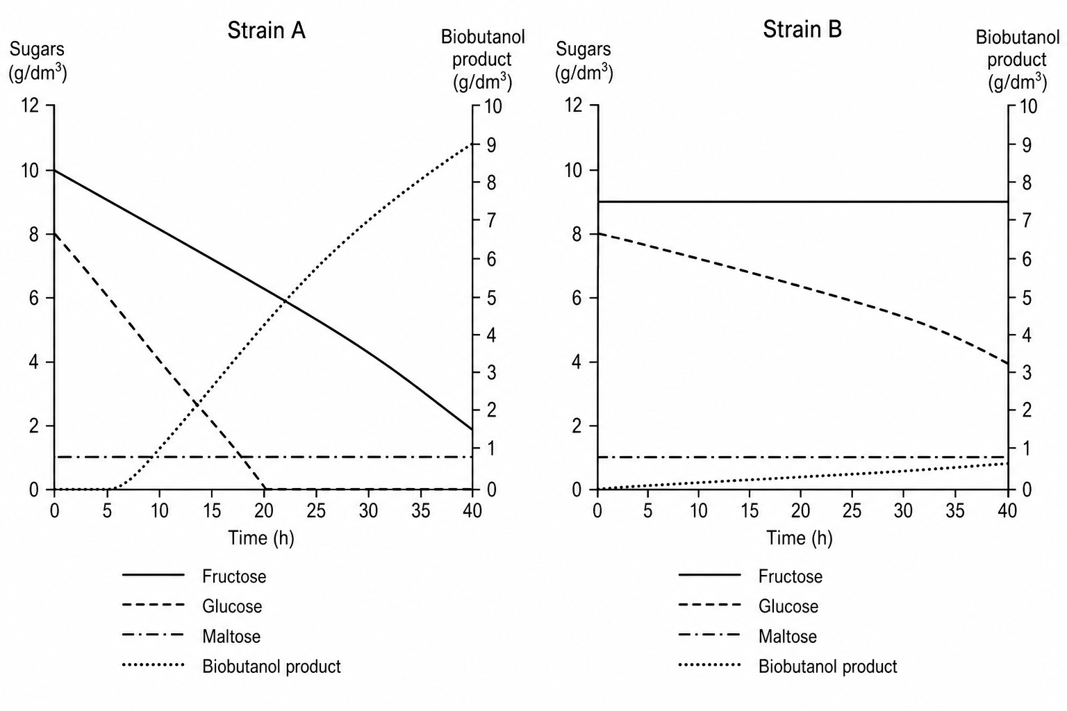 Bacterial fermentation graphs