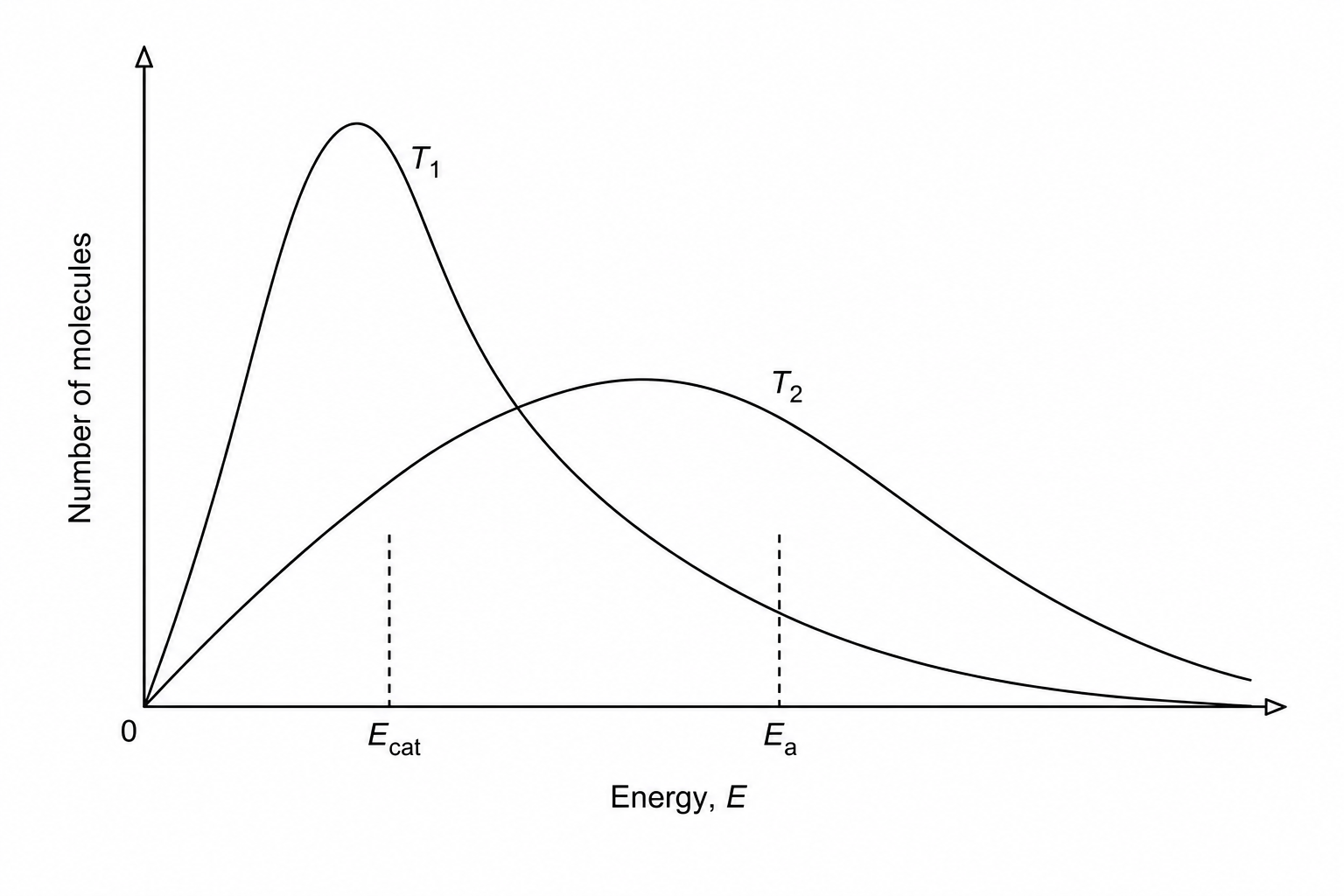 Maxwell-Boltzmann distribution curves at temperatures T1 and T2 showing catalysed and uncatalysed activation energies