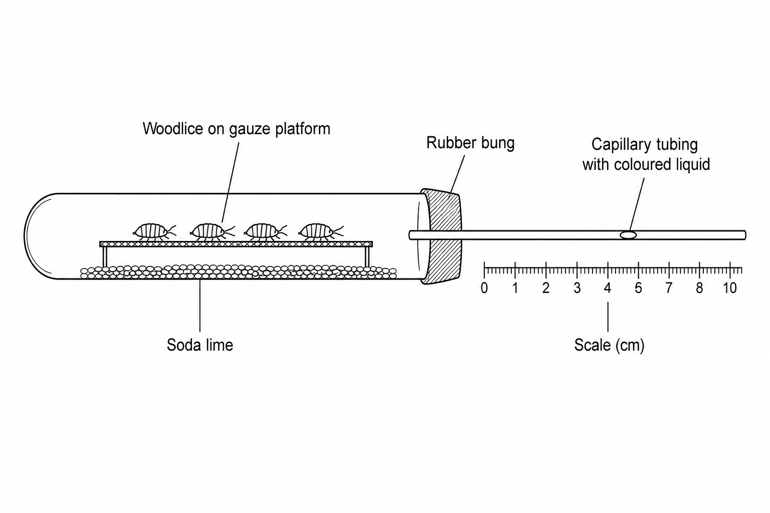Respirometer diagram
