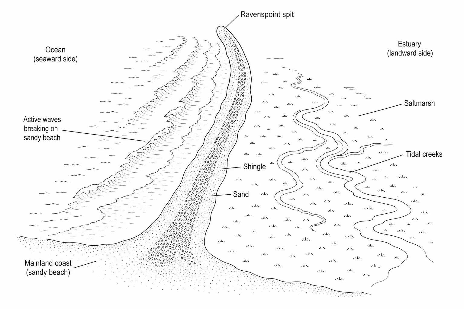 Figure 3a: A high-angle photograph of Ravenspoint spit showing a long, narrow strip of sand and shingle extending from the mainland coastline out into an estuary. On the seaward side to the left, active waves break on a sandy beach. On the sheltered landward side to the right, there is a calm, green saltmarsh area with tidal creeks.