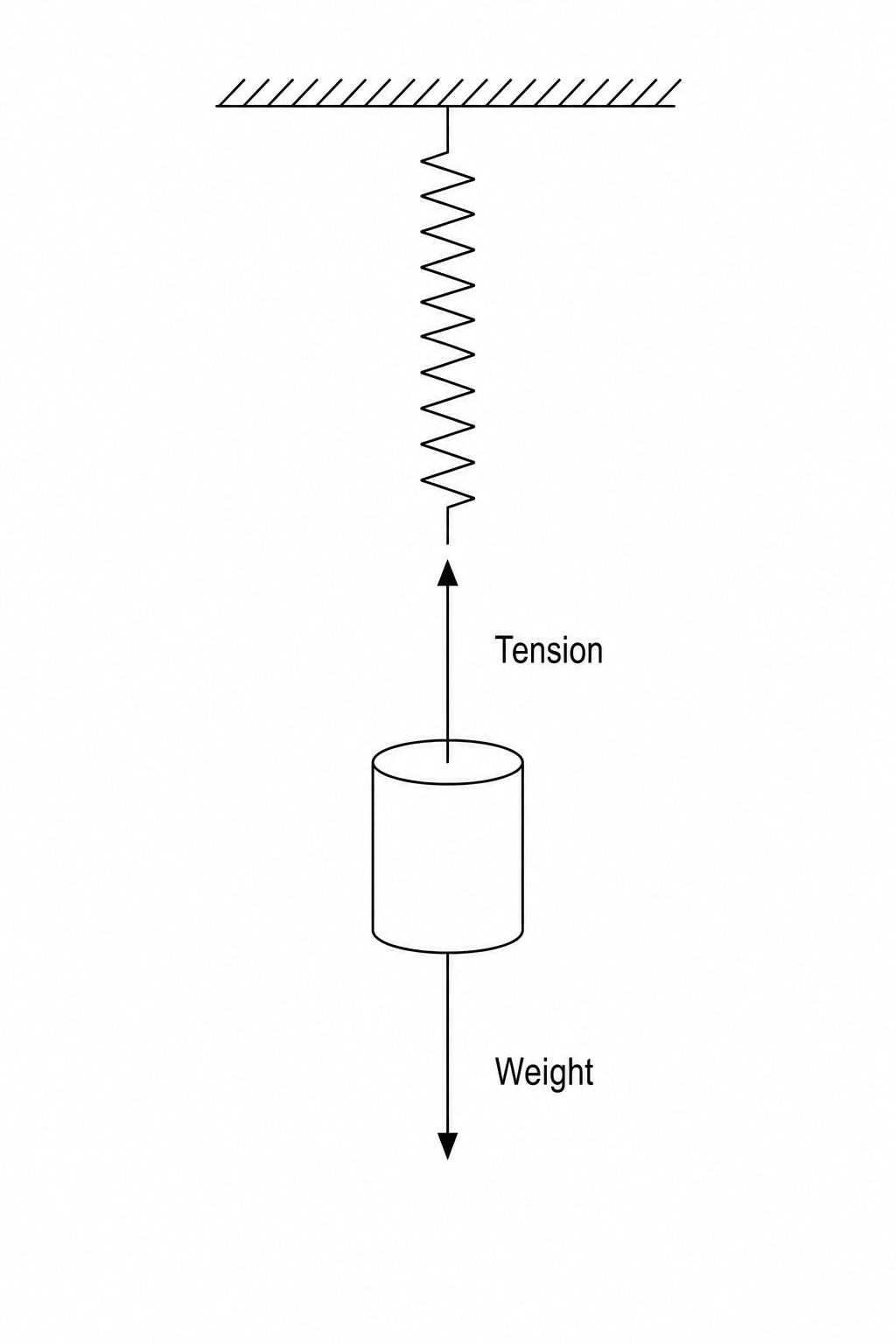 A metal cylinder suspended at rest from a vertical spring.