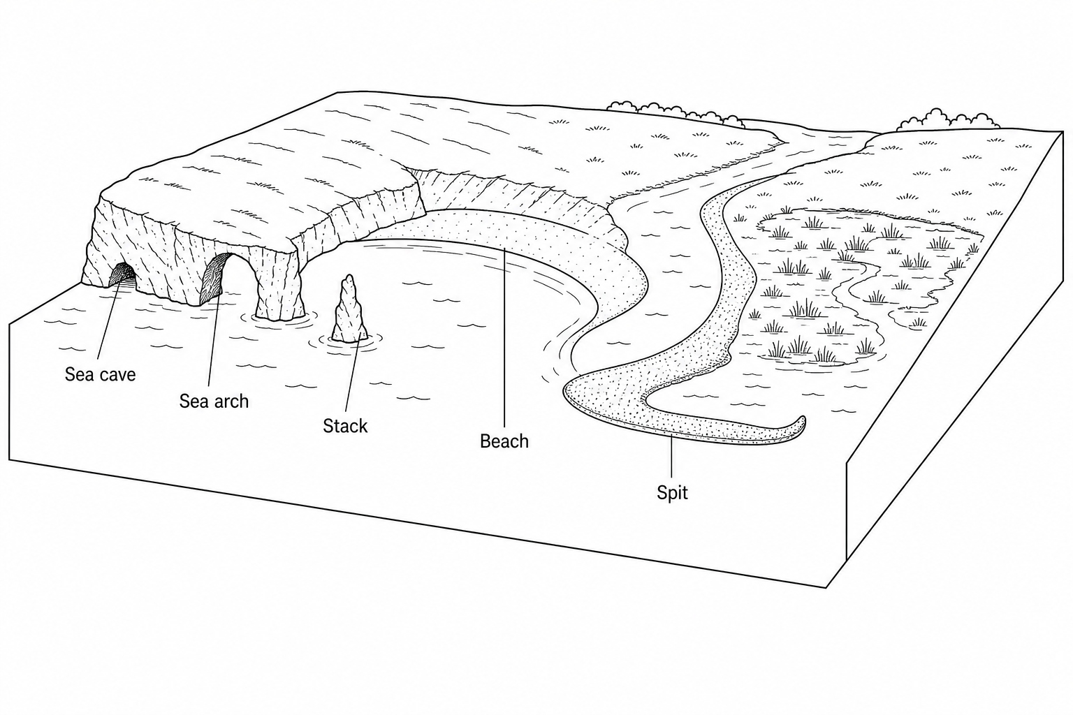 Figure 2: A detailed physical block diagram of a coastline showing various erosional and depositional features. Labelled features include a protruding headland with a sea cave, a natural sea arch, and a tall, isolated rock tower standing in the sea. Next to the headland is a sheltered bay containing a sandy beach. Further down the coast, a long, narrow ridge of sand and shingle extends from the mainland across part of a river estuary, showing a hooked or recurved end with a salt marsh sheltered behind it.