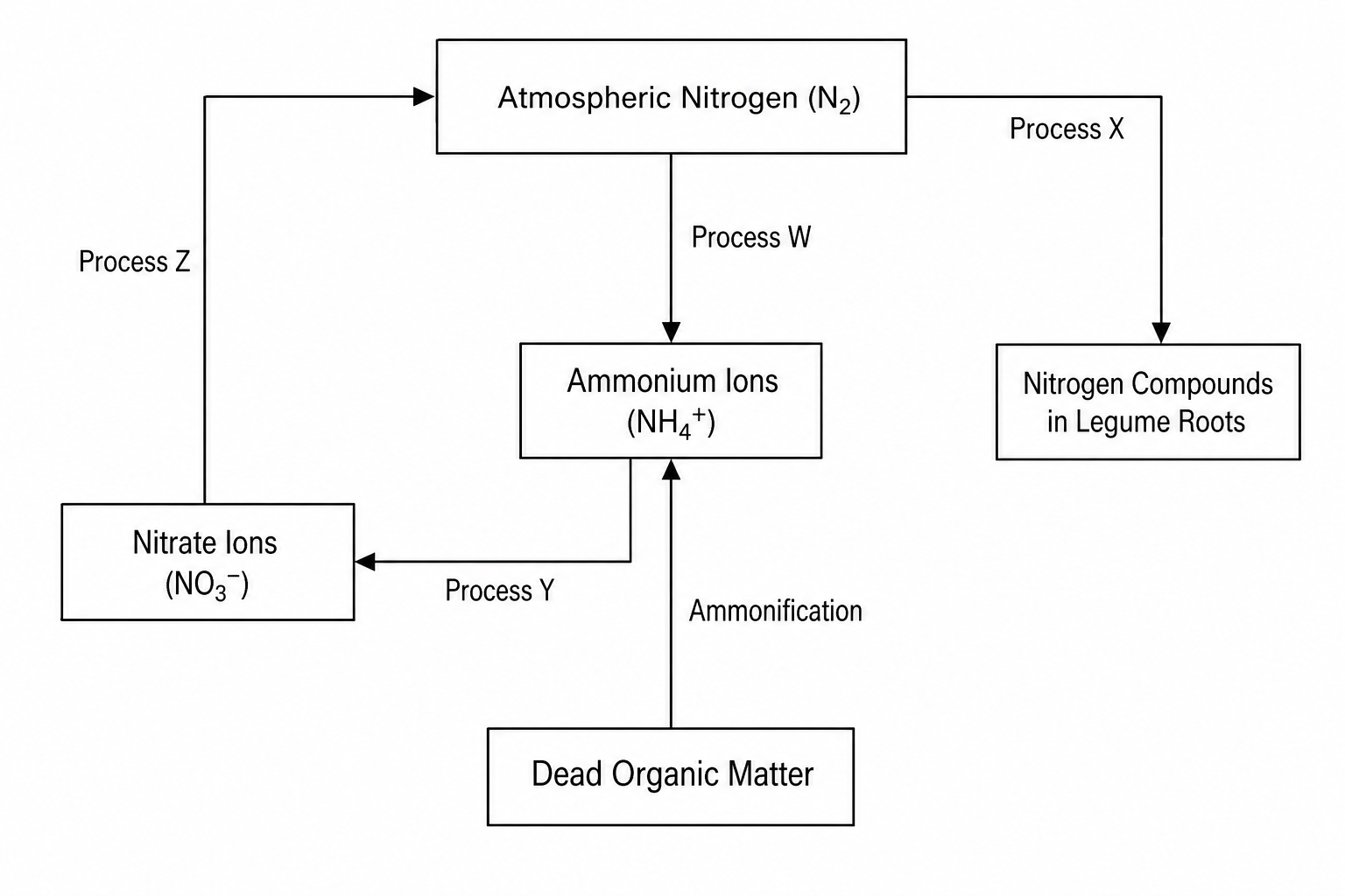 A simplified flowchart of the nitrogen cycle