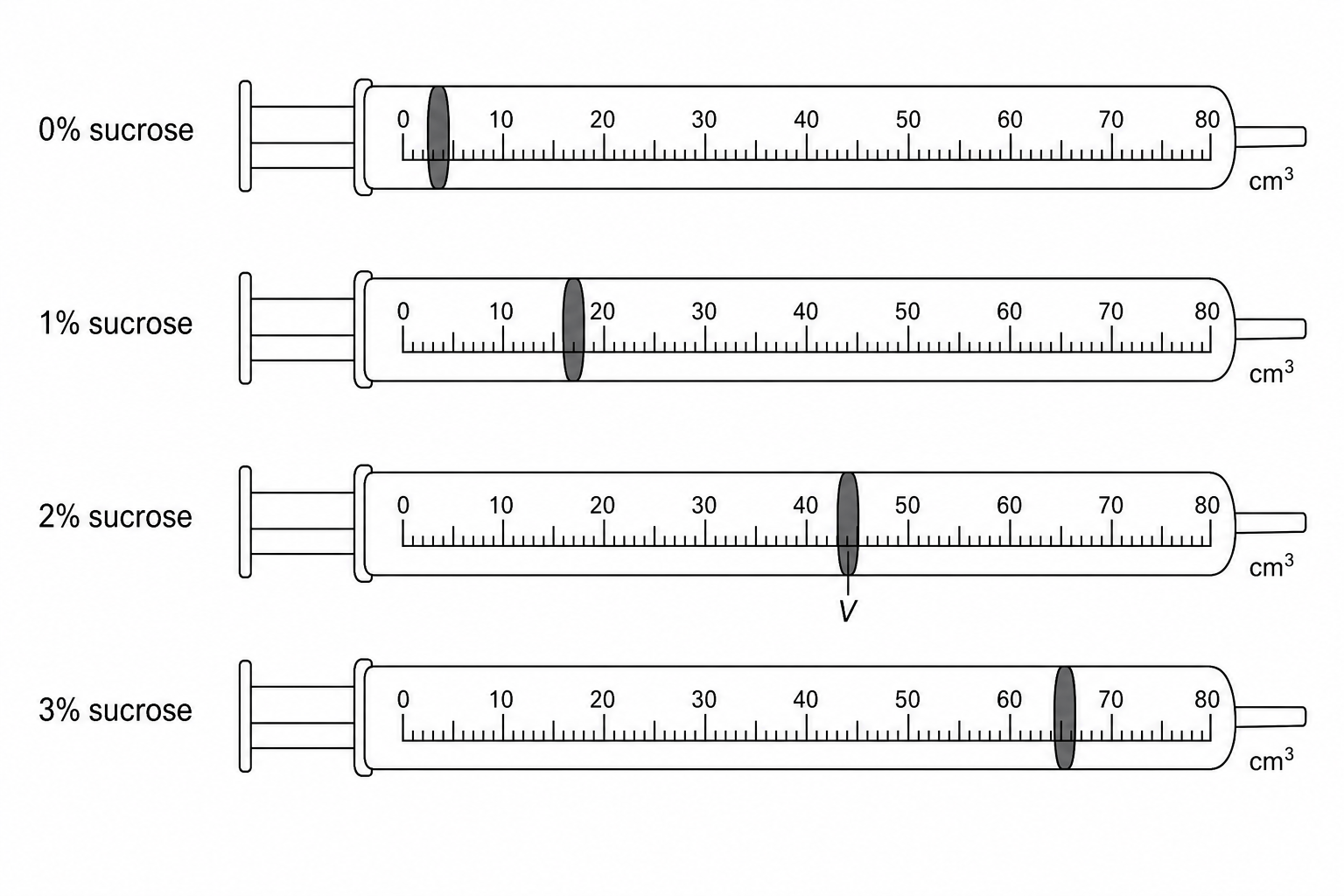 Yeast respiration gas syringes
